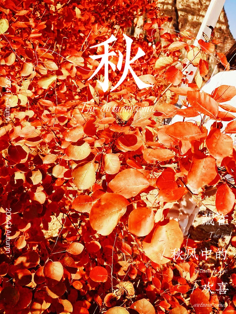 狼牙山媳妇岭 周末劝退 人太多了