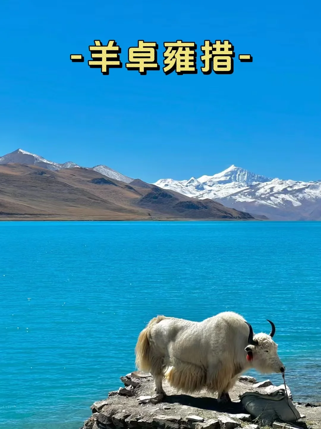 11-2🈷️西藏旅游🍃懒人版五日行程攻略