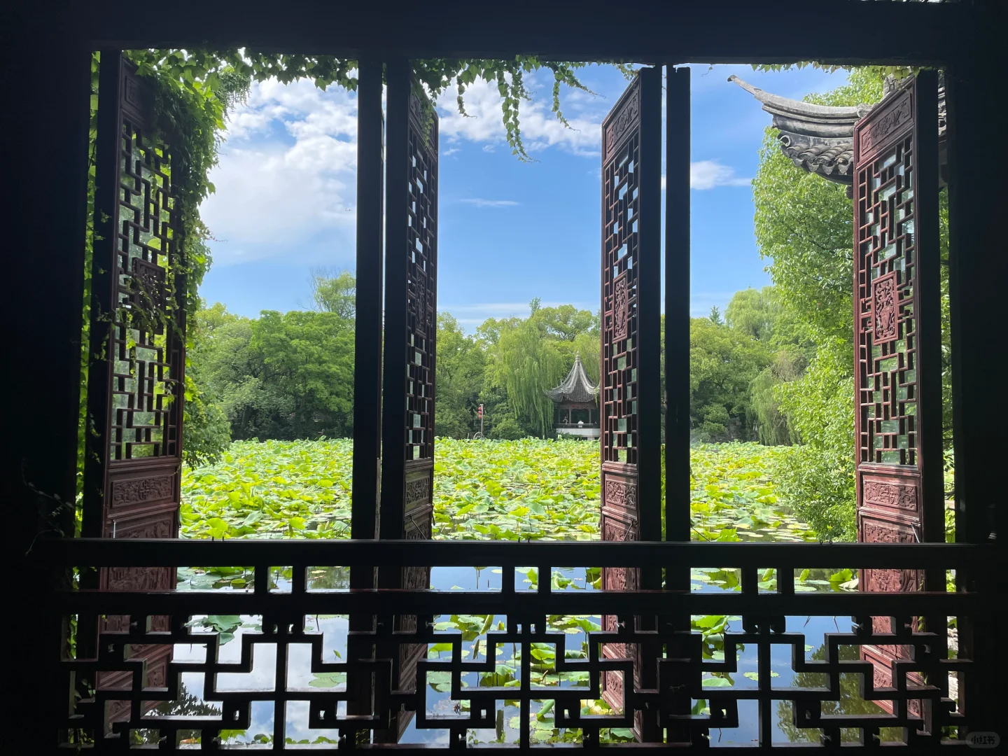 记·一个人的旅行——南浔🧳附带简易攻略