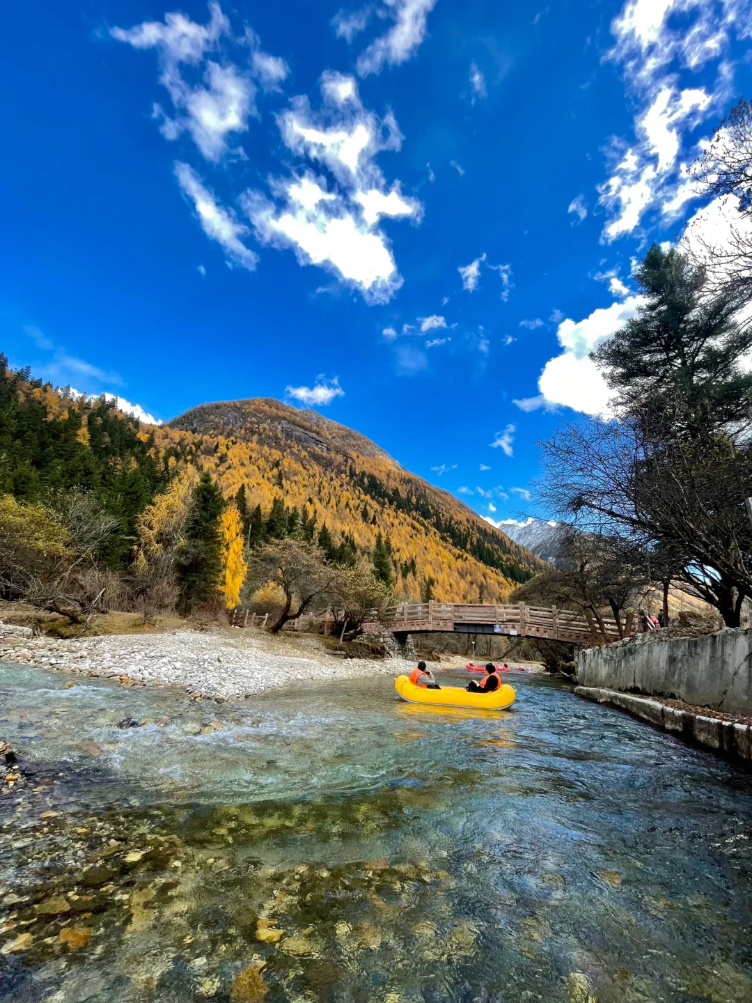11.5 📍川西已回，近期live实况直出劝退不了