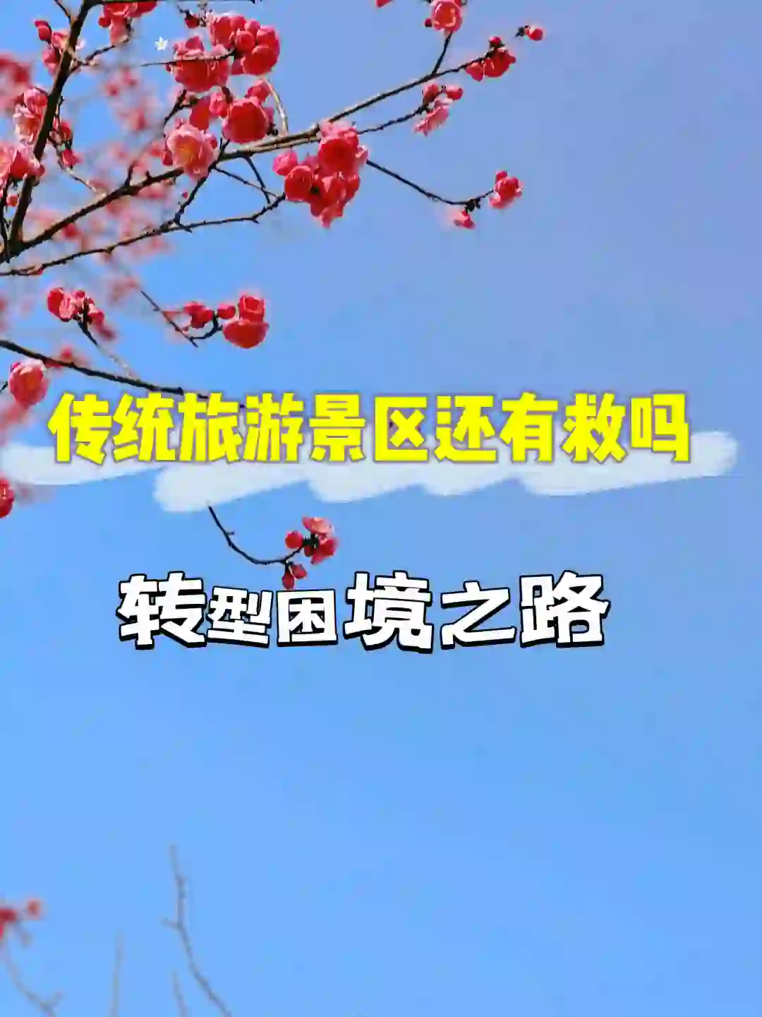 传统旅游景区还有救吗💥转型困境之路