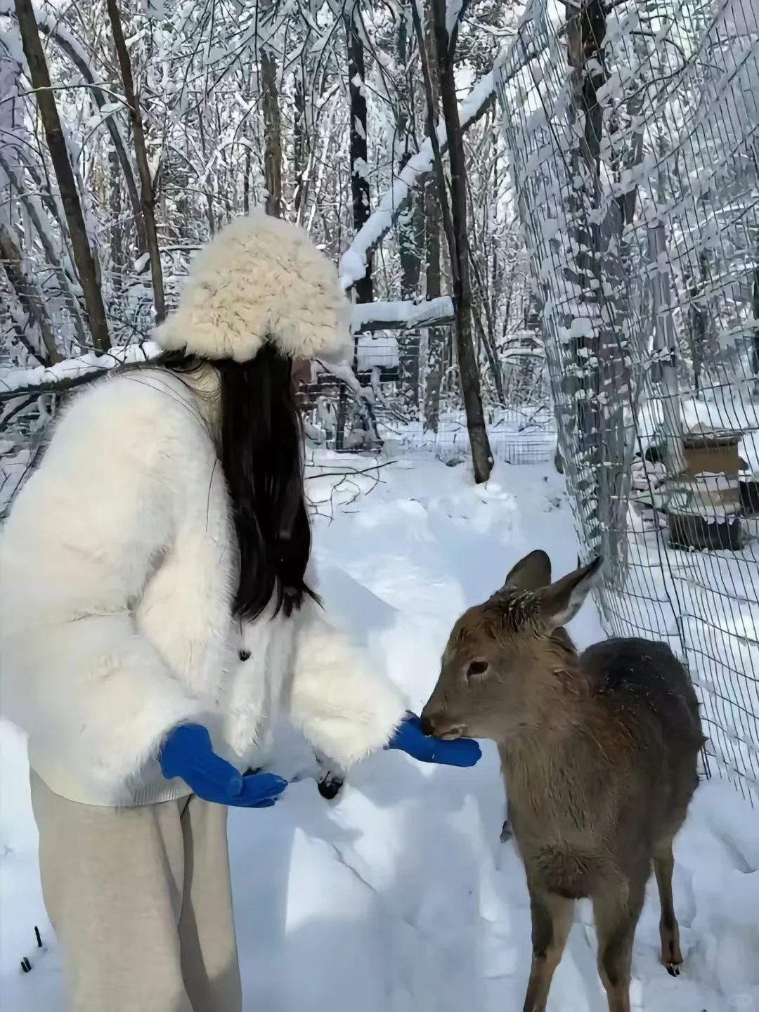 11月不去长白山!你糊涂啊😭