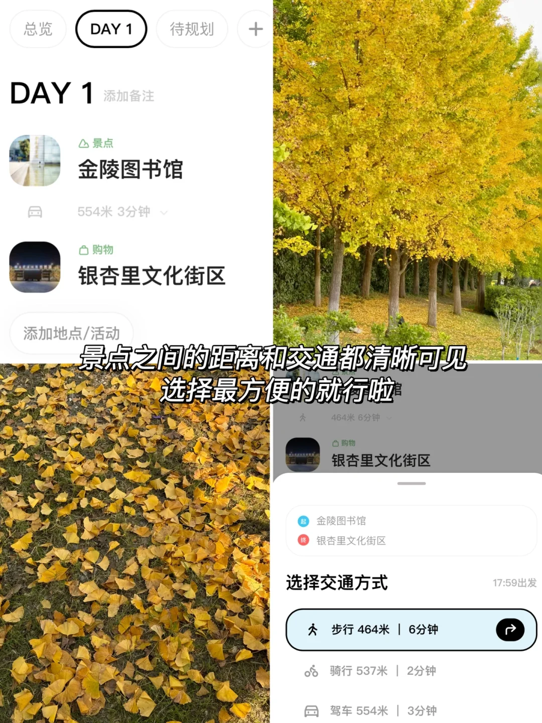 11.11实拍Live！南京美到哭的银杏大道😭没人