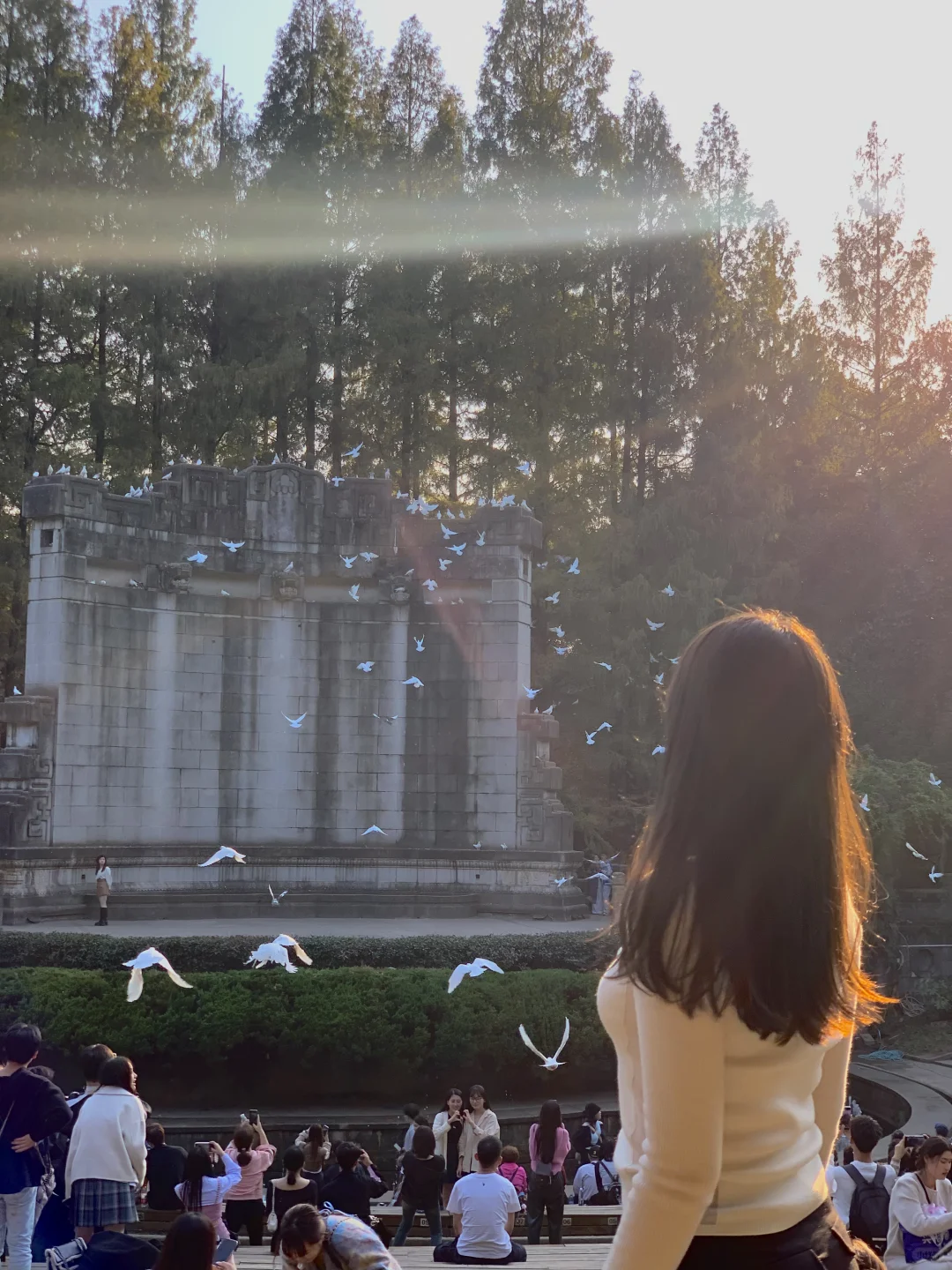 等了一年,就为了11月的南京!!🍁