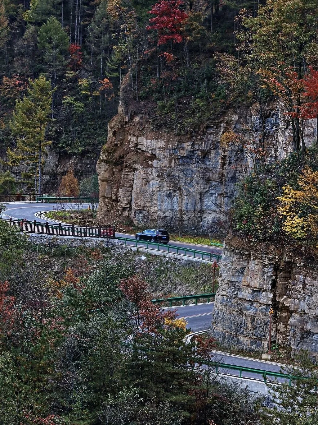成都周边小众赏秋!🍂像童话里的彩林山谷…