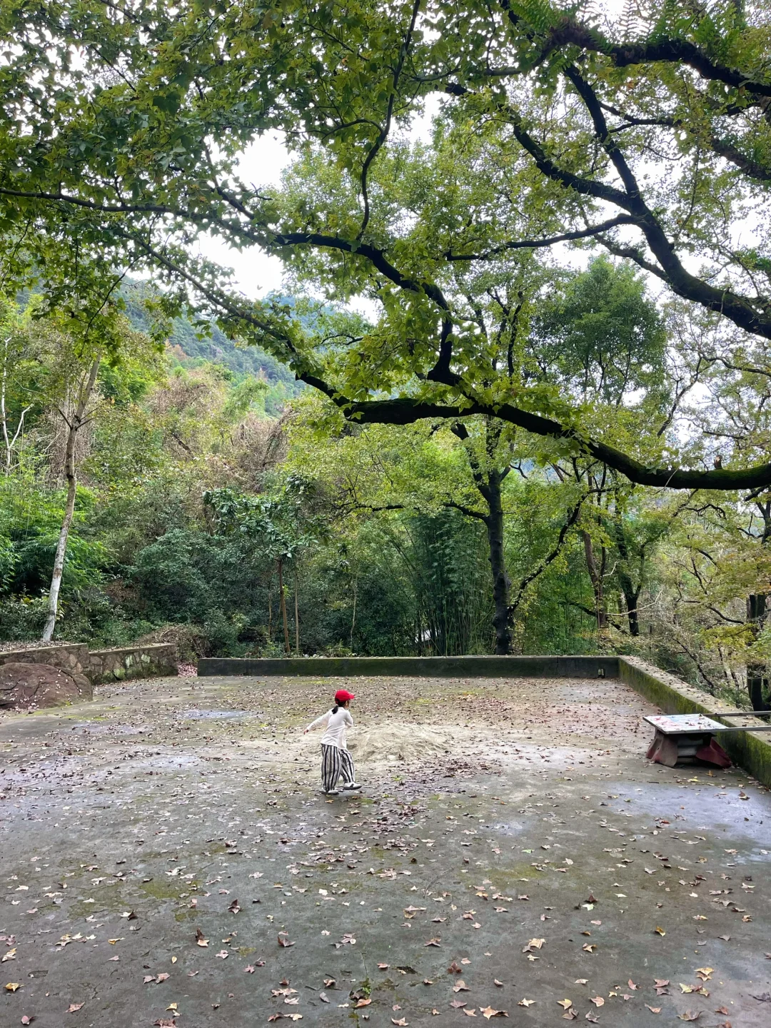 温州徒步 | 这条亲子友好路线一定要去!⛰️