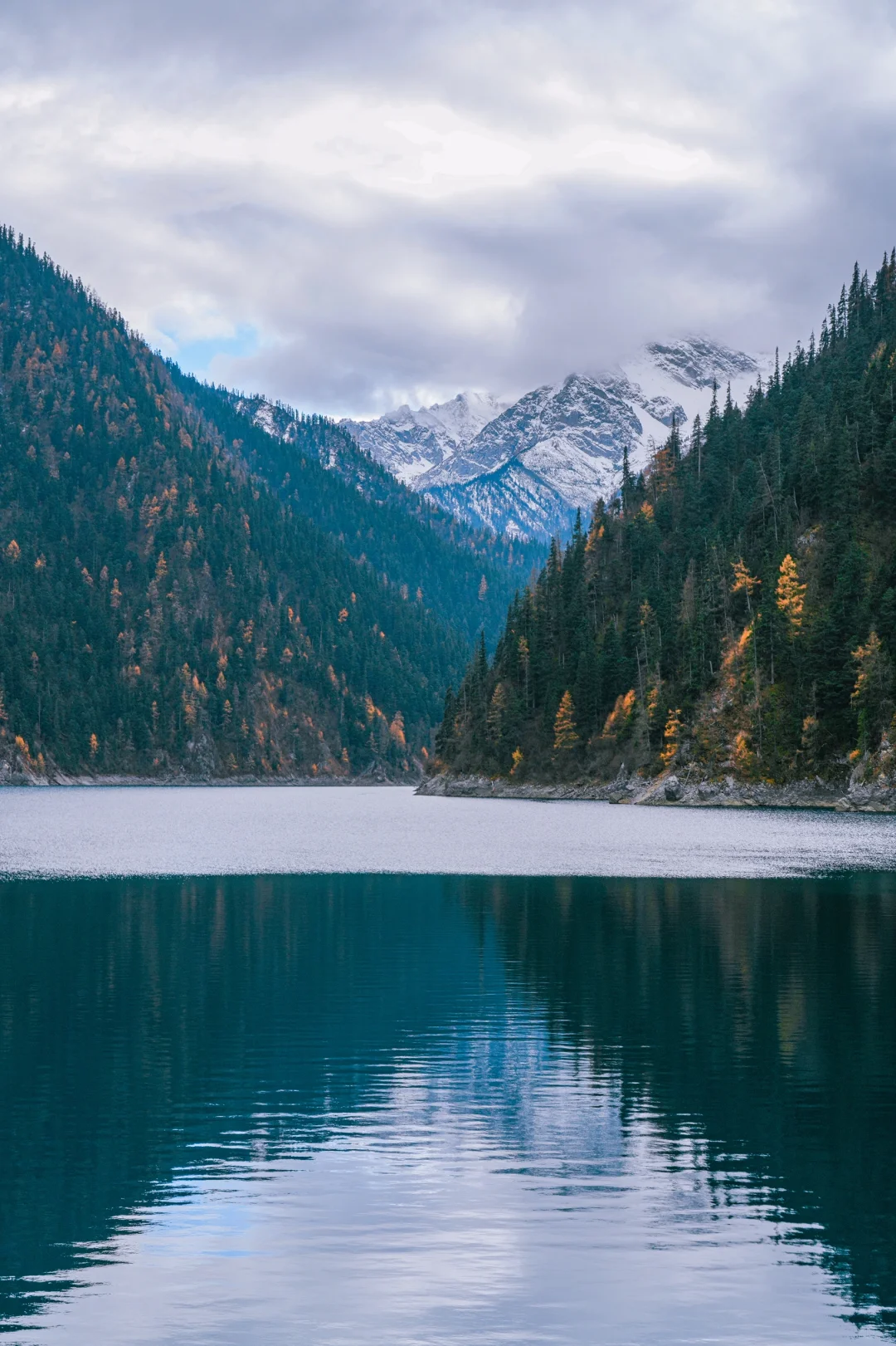 趁门票降价,一天逛完九寨沟攻略❗️