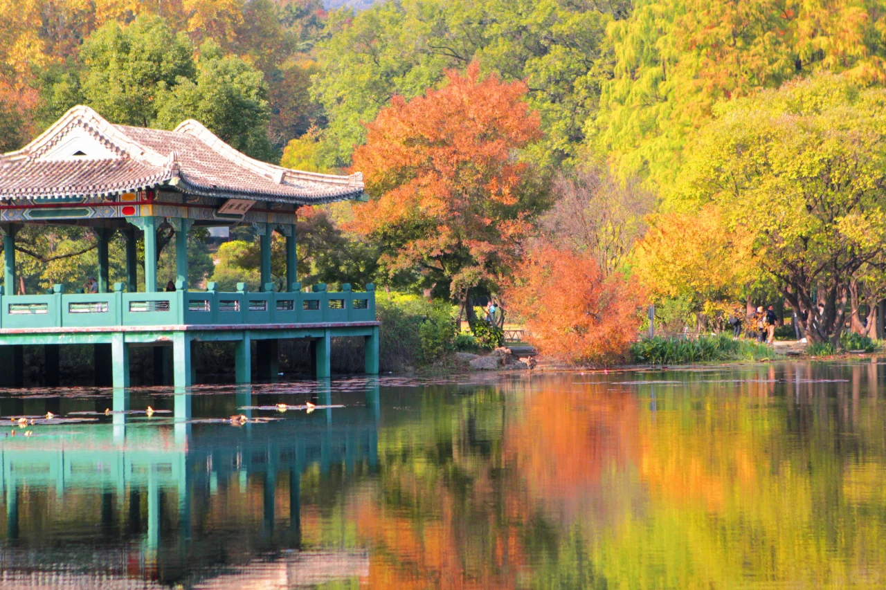 南京流徽榭|藏在钟山景区的秋色秘境🍂