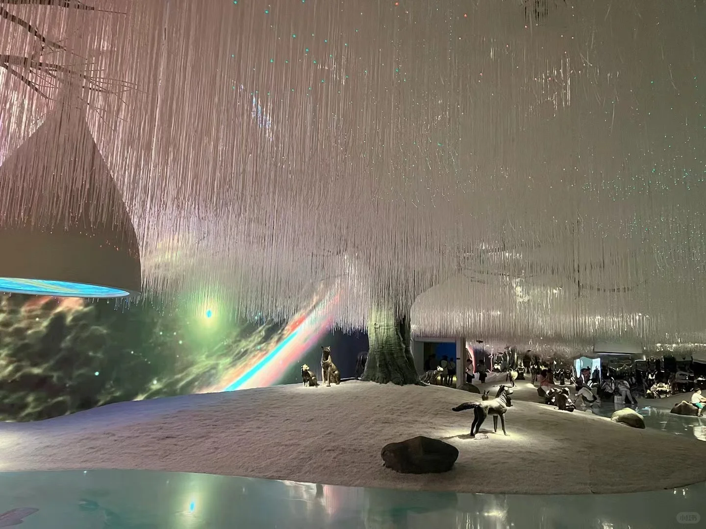 南京市区拍照打卡圣地,拍照祈愿两不误