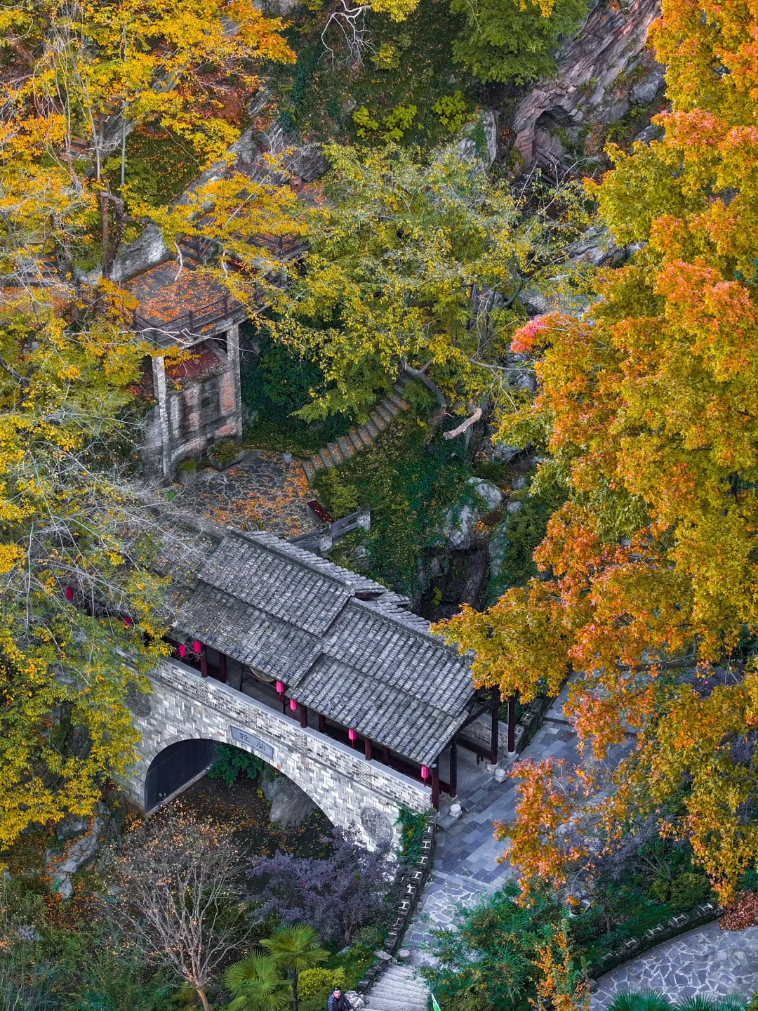 皖南的🍁枫叶已红!这个小镇的秋色美翻了‼️