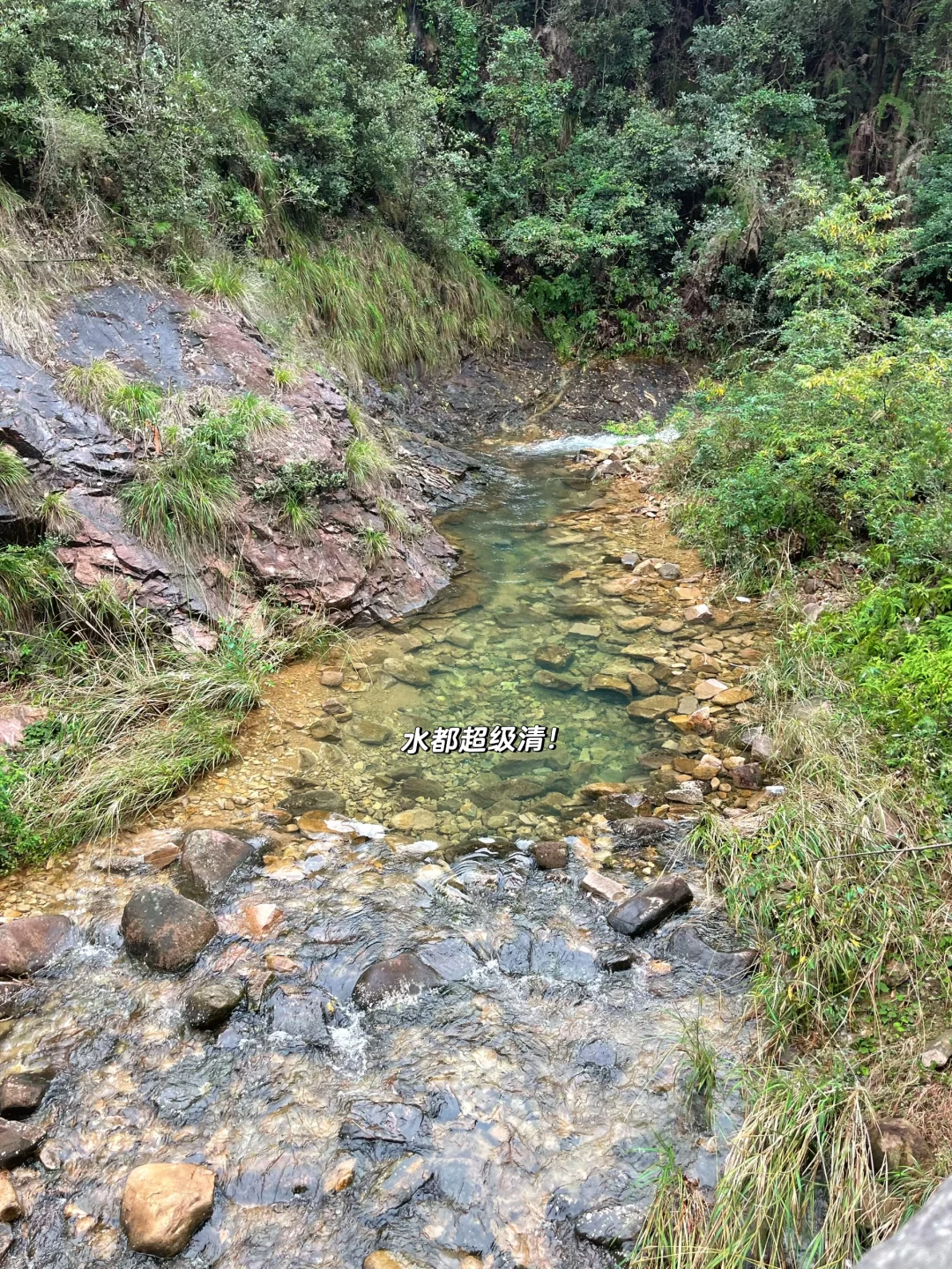 温州徒步 | 这条亲子友好路线一定要去!⛰️