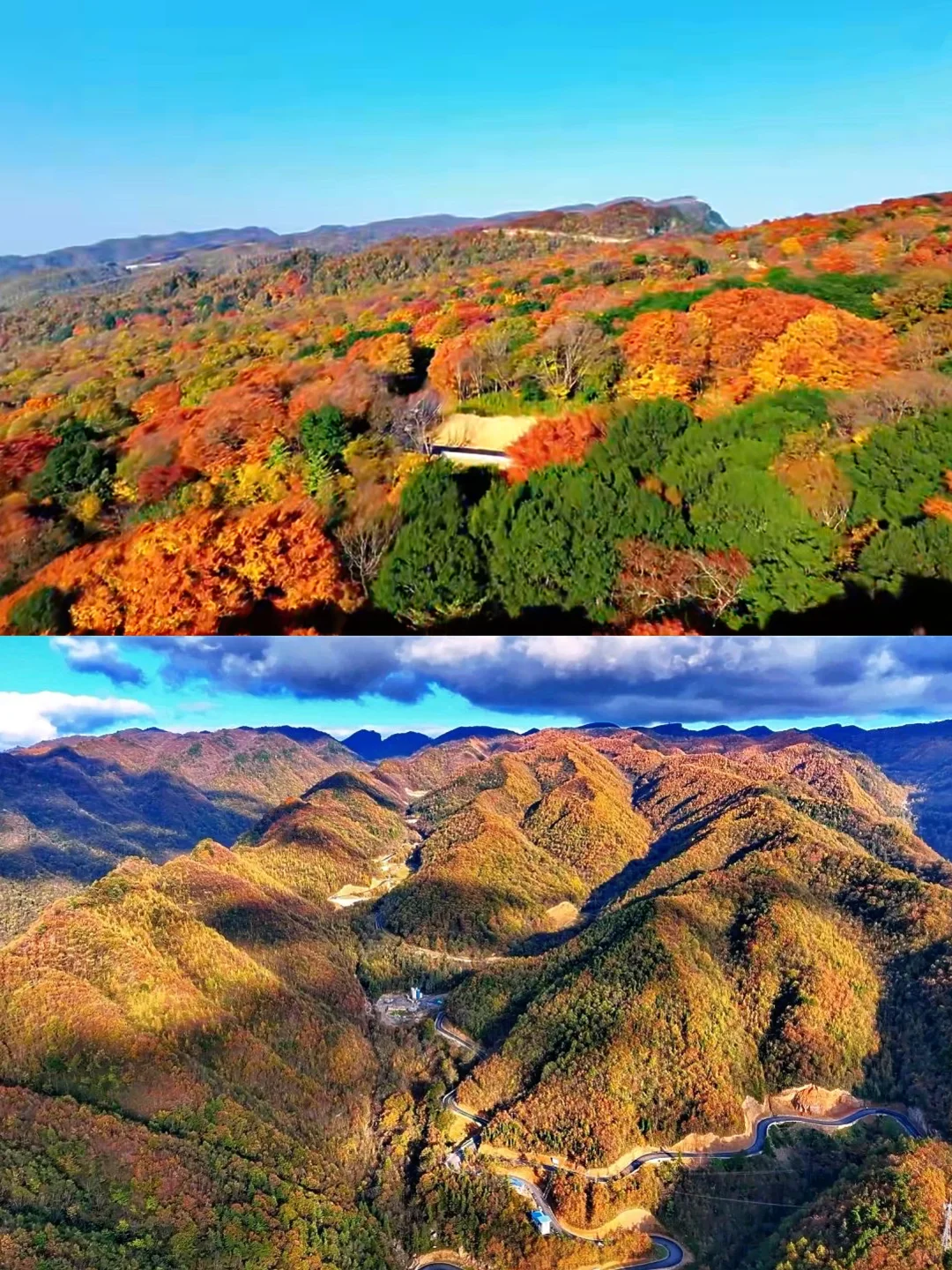 成都周边小众赏秋!🍂像童话里的彩林山谷…