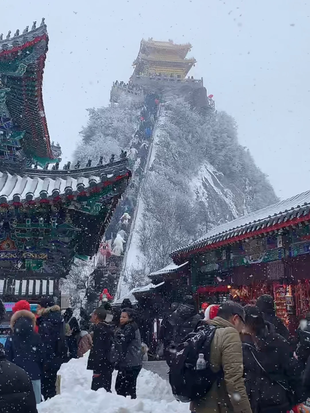 11.17号老君山实况!一上去我傻眼了……美