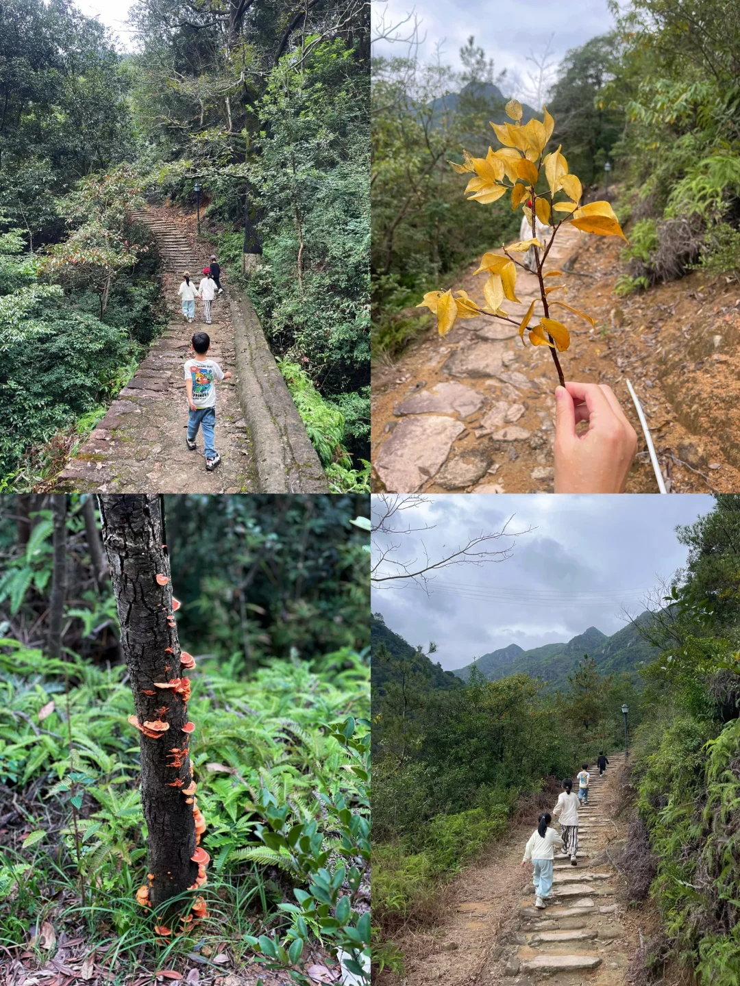 温州徒步 | 这条亲子友好路线一定要去!⛰️