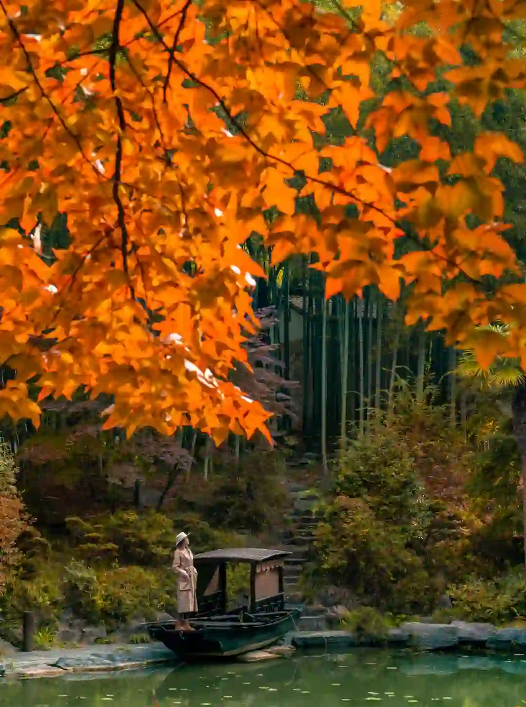 皖南的🍁枫叶已红!这个小镇的秋色美翻了‼️