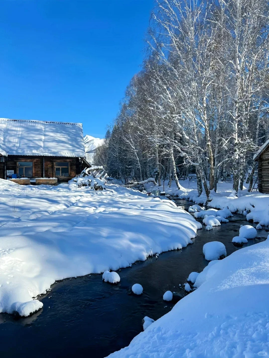 和男朋友一起阿勒泰玩 5 天,人均💰2000
