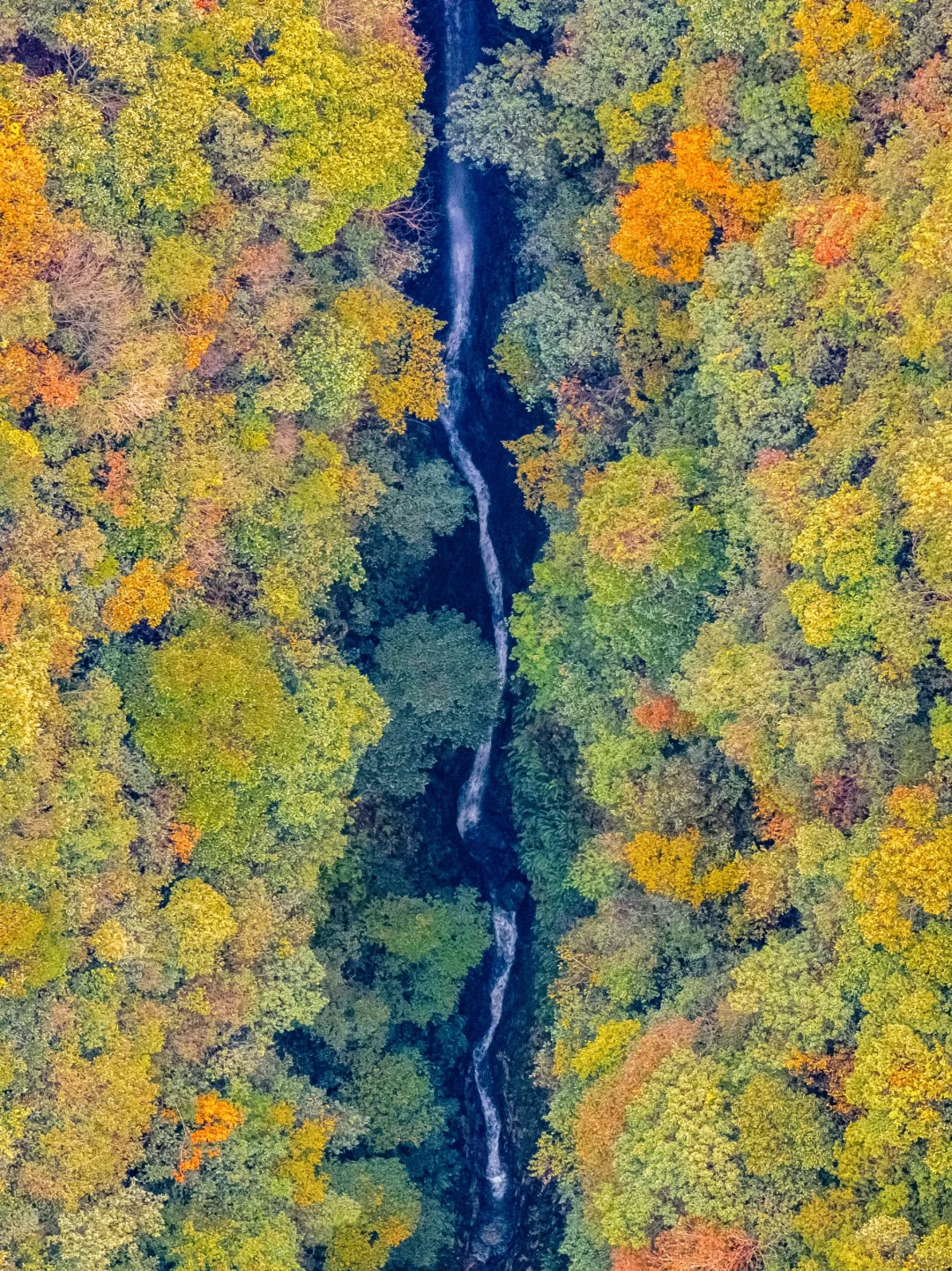 不是九寨沟❗在杭州❗小九寨秋景秘境真绝🍂