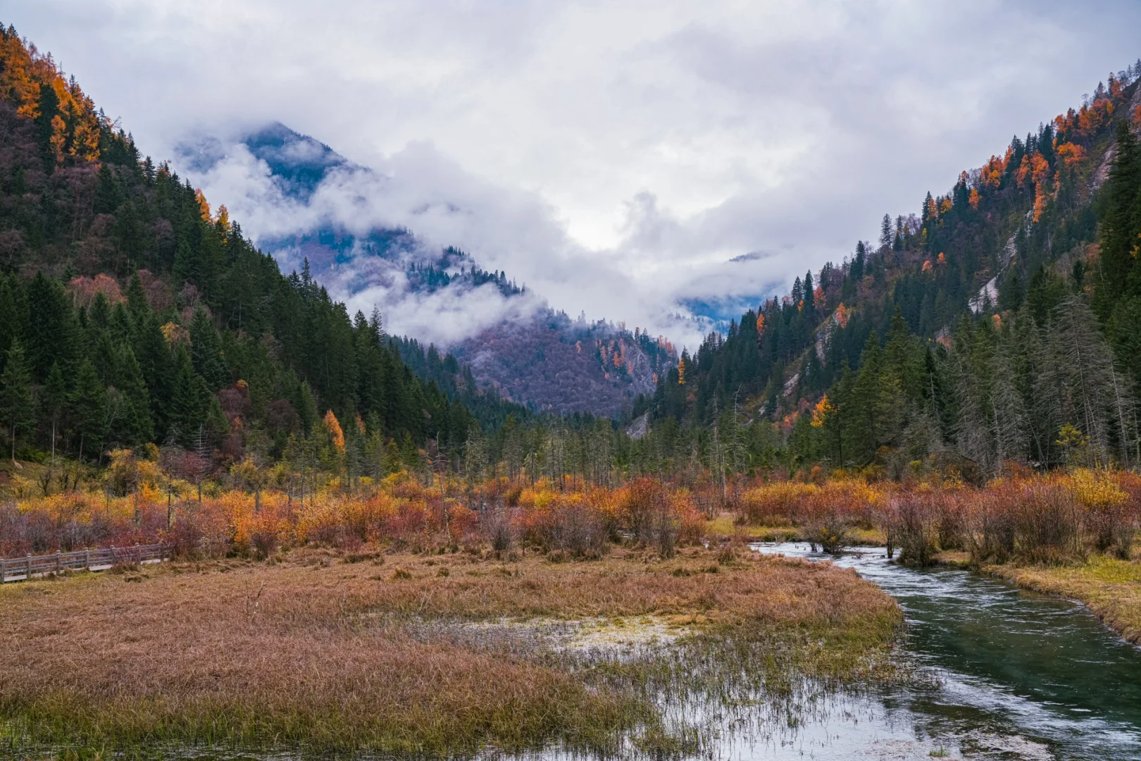 趁门票降价,一天逛完九寨沟攻略❗️