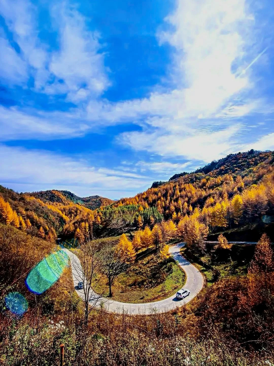 成都周边小众赏秋!🍂像童话里的彩林山谷…