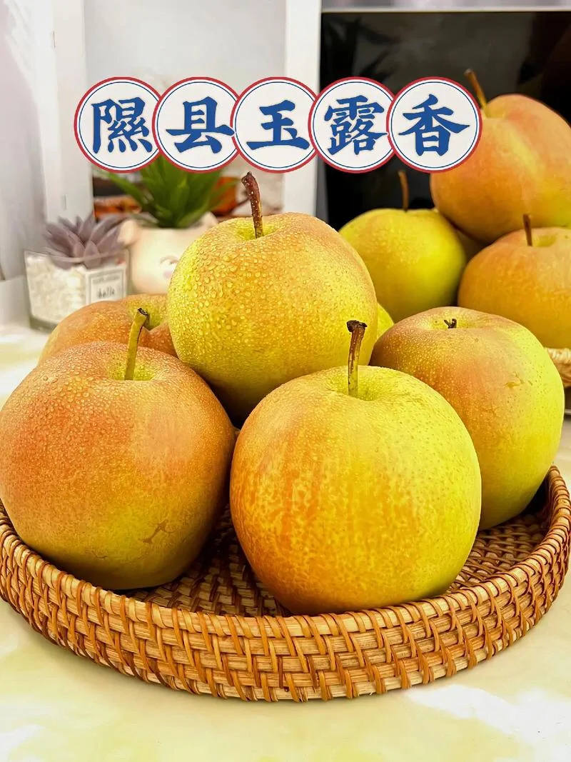 11月21号缺一人,小西天东岳庙广胜寺一日游