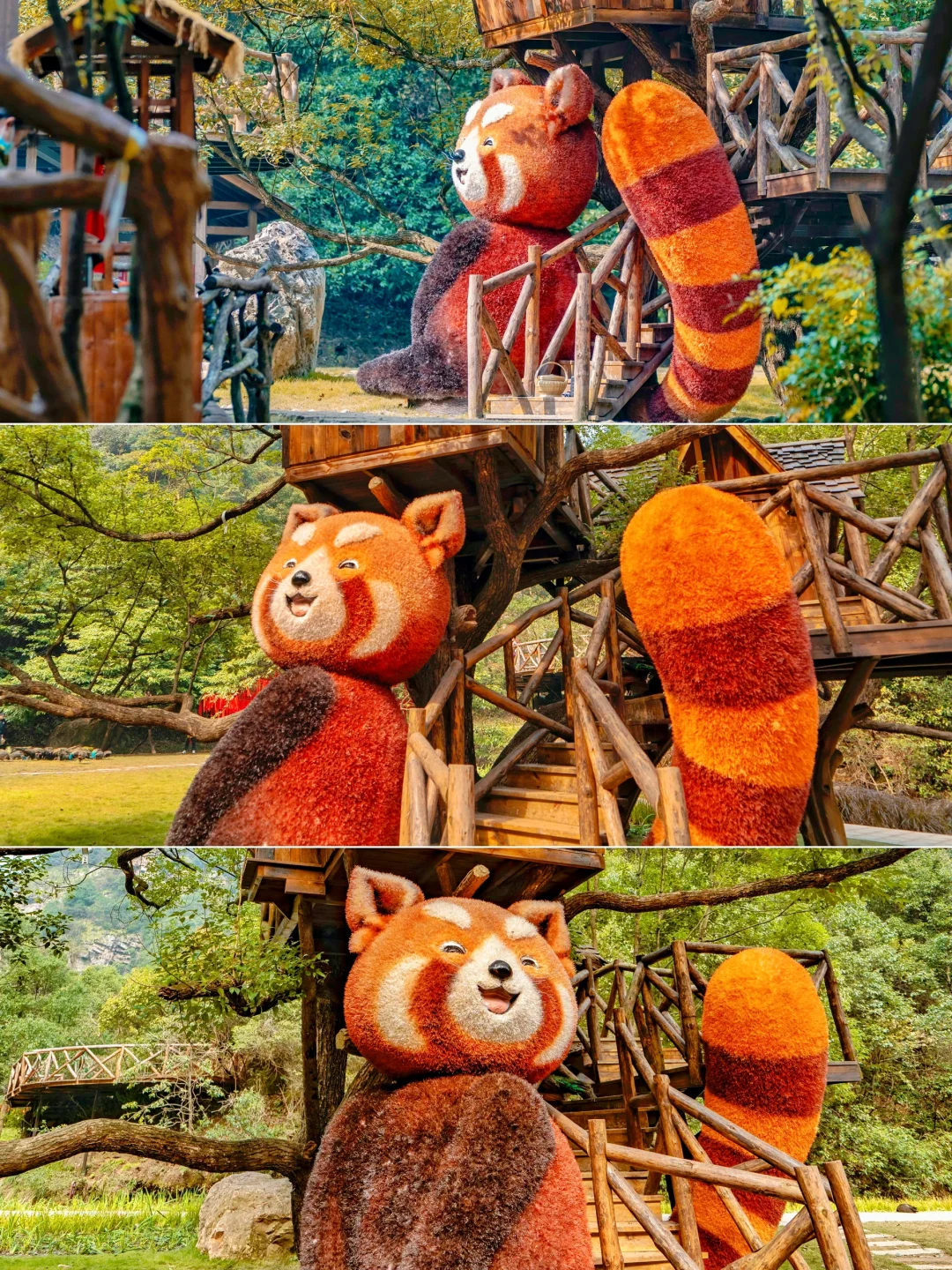 不是九寨沟❗在杭州❗小九寨秋景秘境真绝🍂