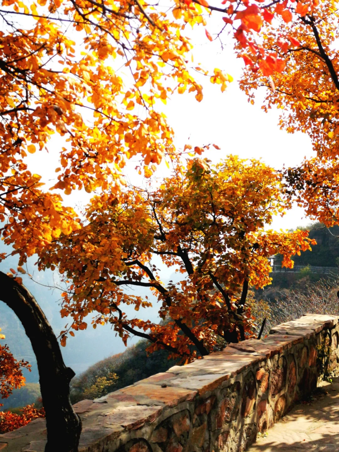 绝美风景路线不走回头路攻略!