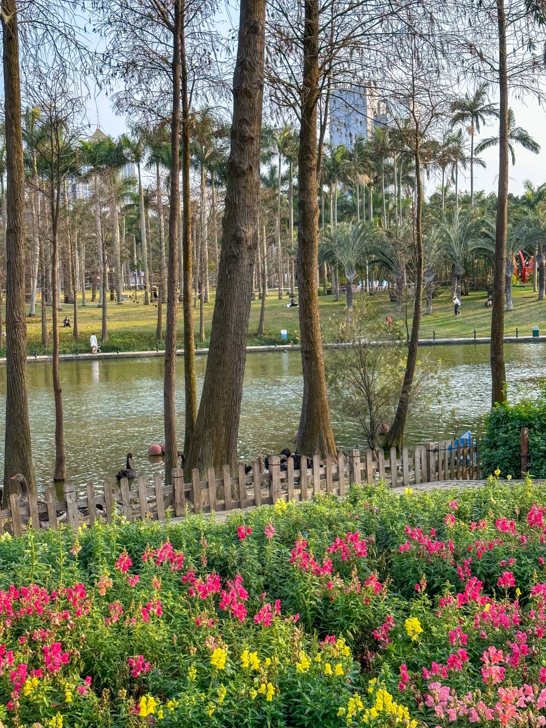 淡季去珠海真的很棒啊!!!!