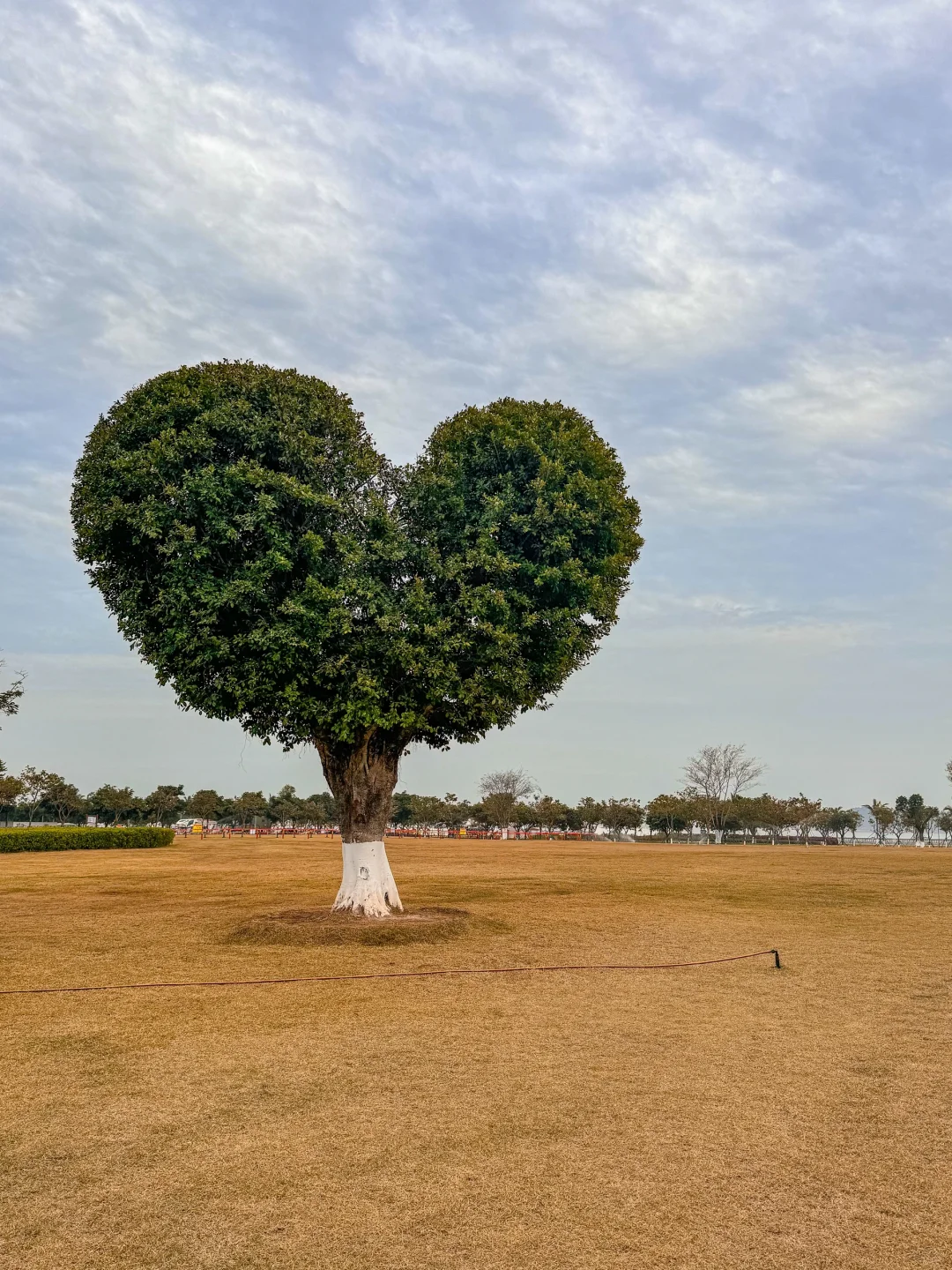 淡季去珠海真的很棒啊!!!!