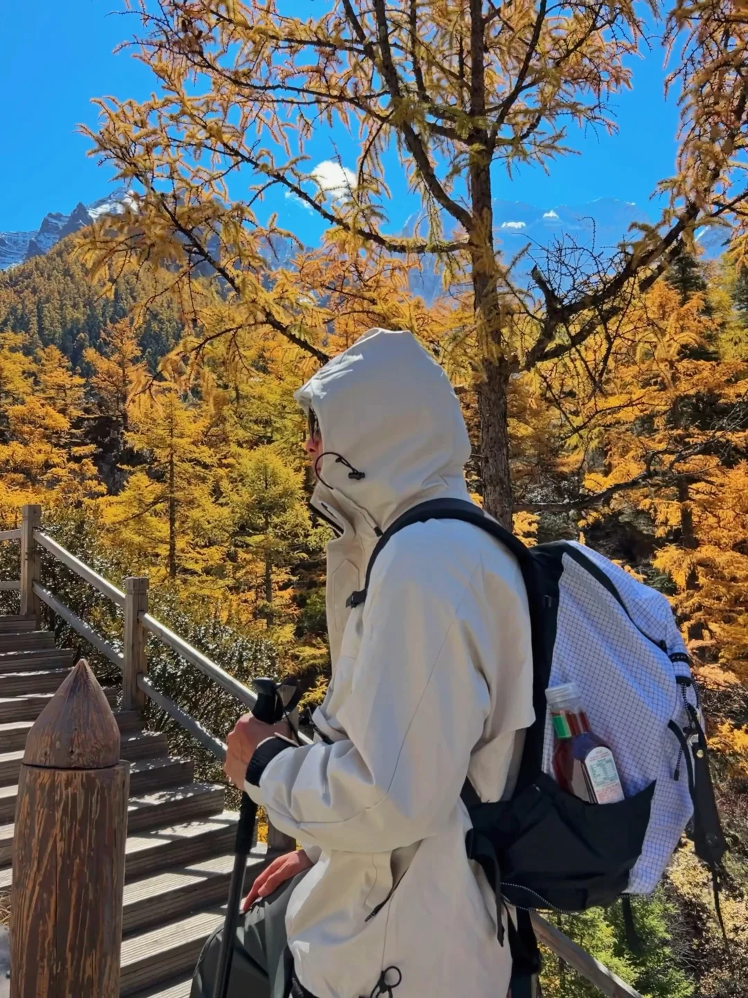 10.27稻城亚丁的秋日画布让人心醉🏔️