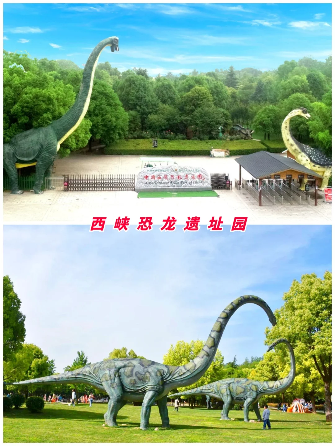 河南旅游第16站 | 南阳最值得去的9个景点‼