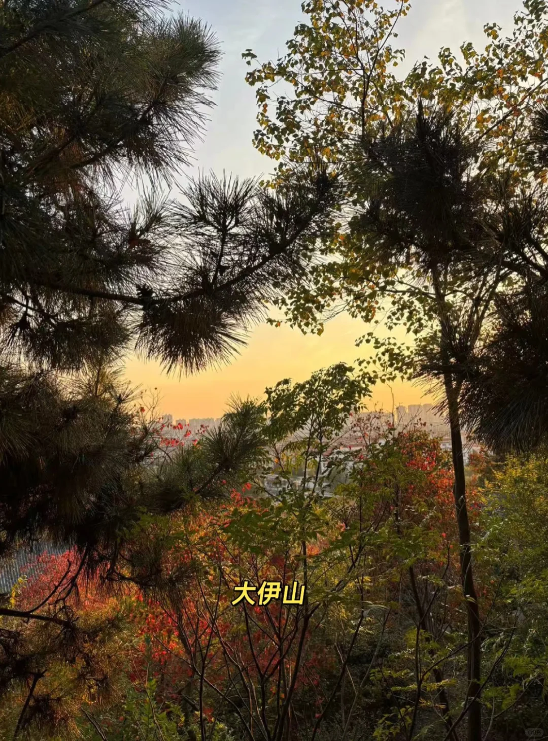 什么❗️连云港景区全免费⁉️