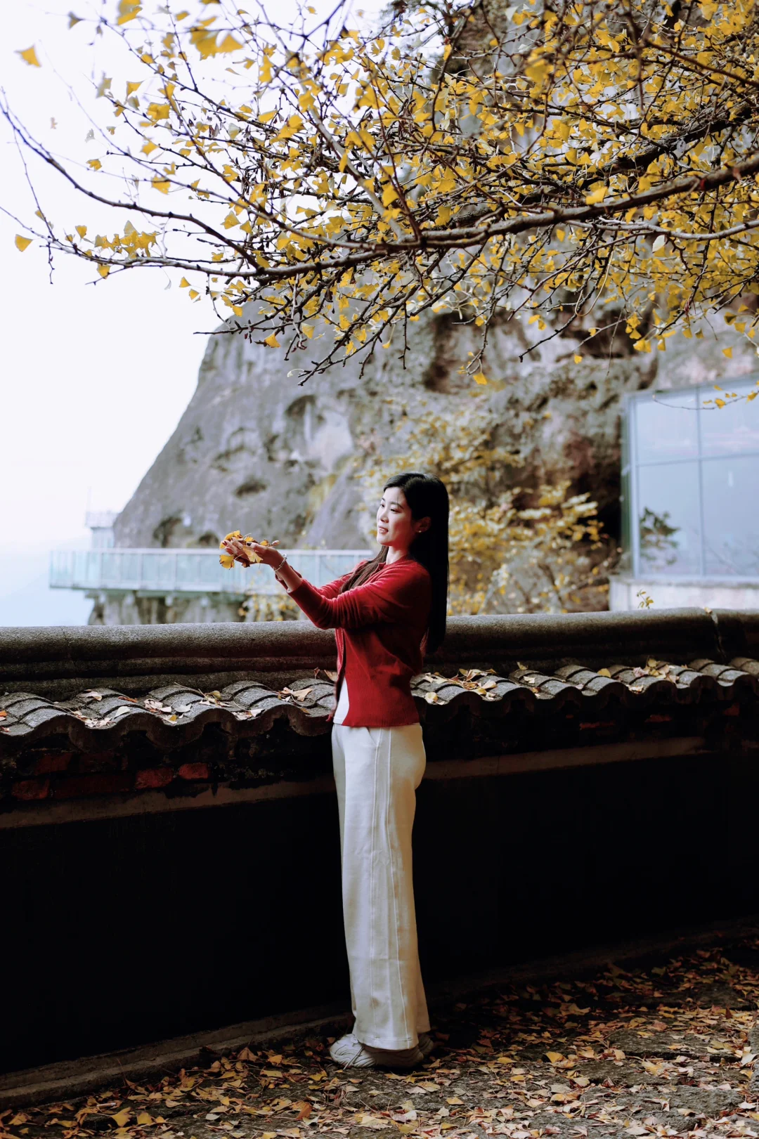 📖大慈岩秋日攻略 | 银杏与悬空寺的浪漫邂