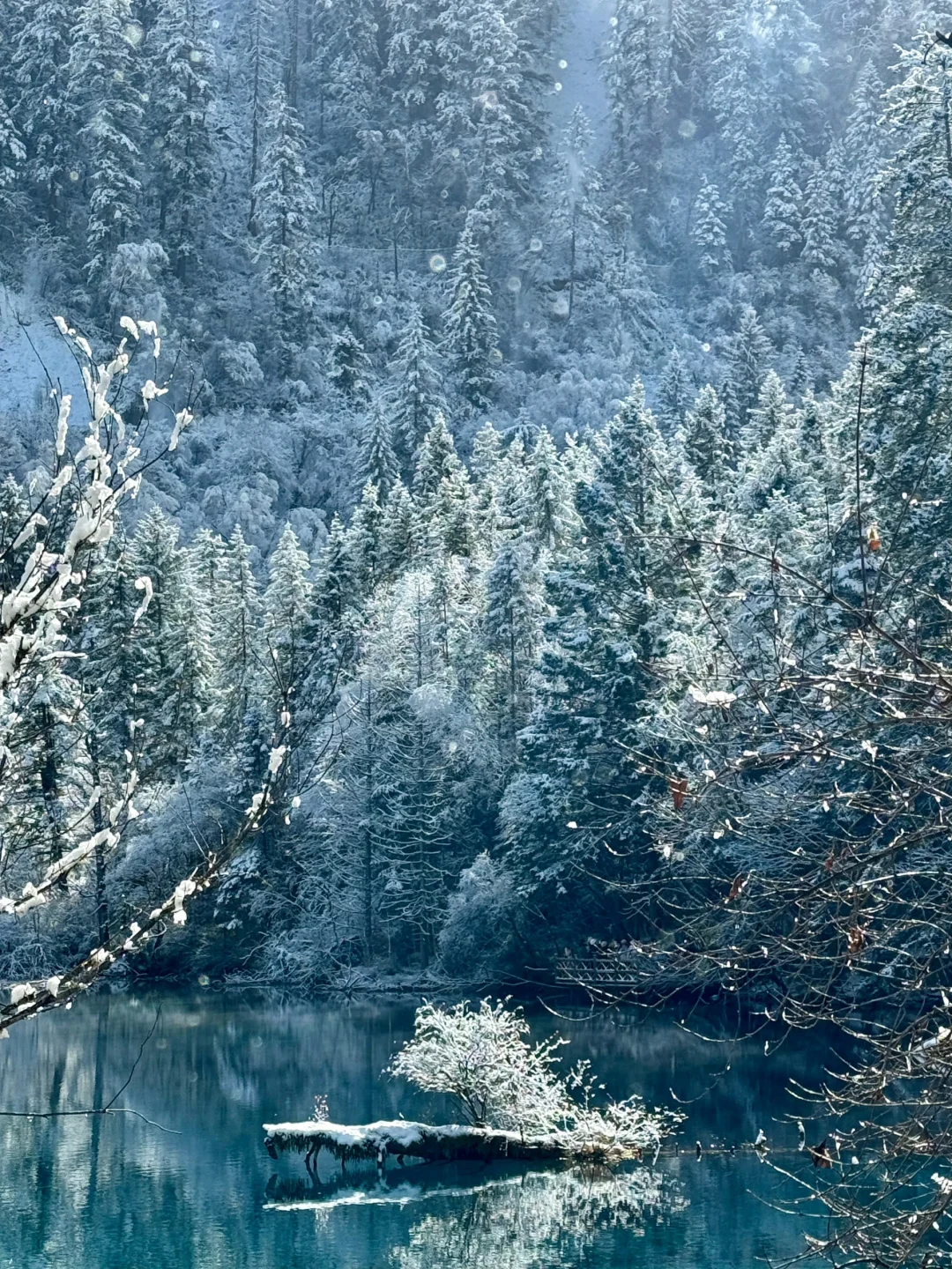 强烈推荐12月后的九寨沟，雪景+半价+人少