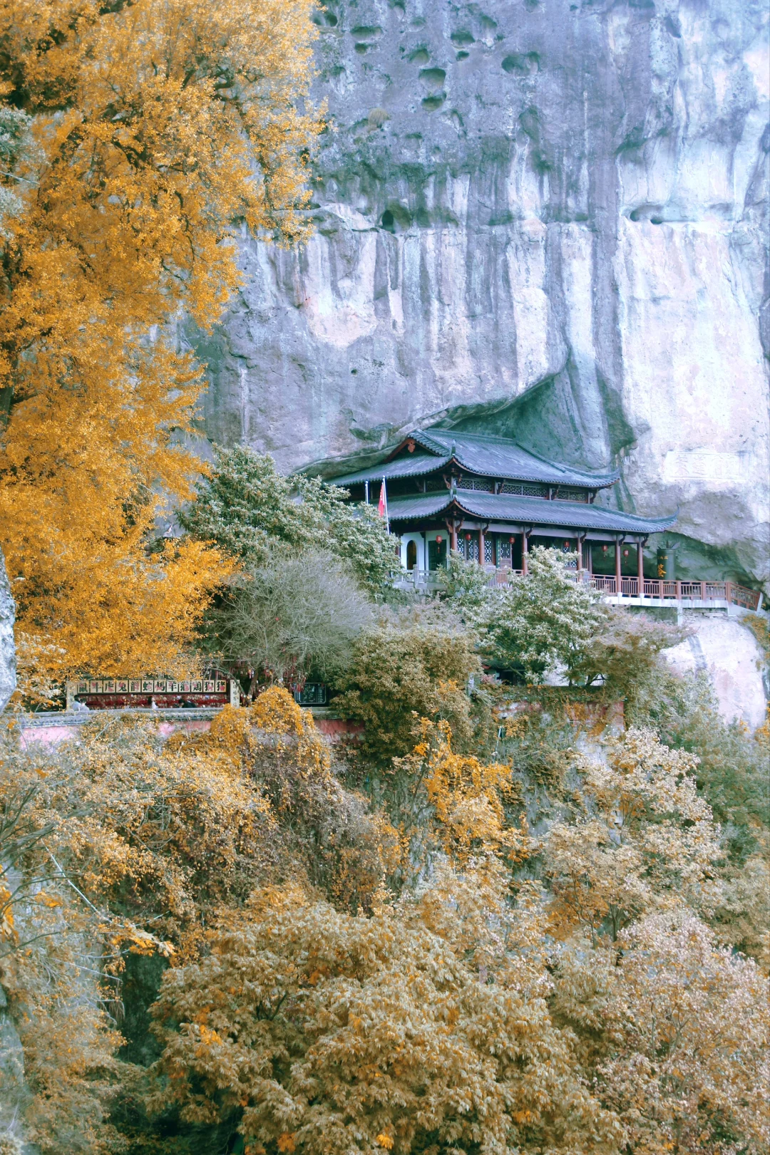 📖大慈岩秋日攻略 | 银杏与悬空寺的浪漫邂