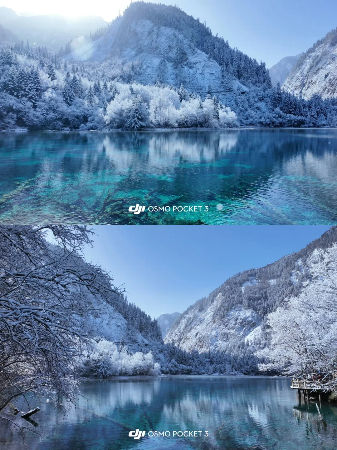 强烈推荐12月后的九寨沟，雪景+半价+人少