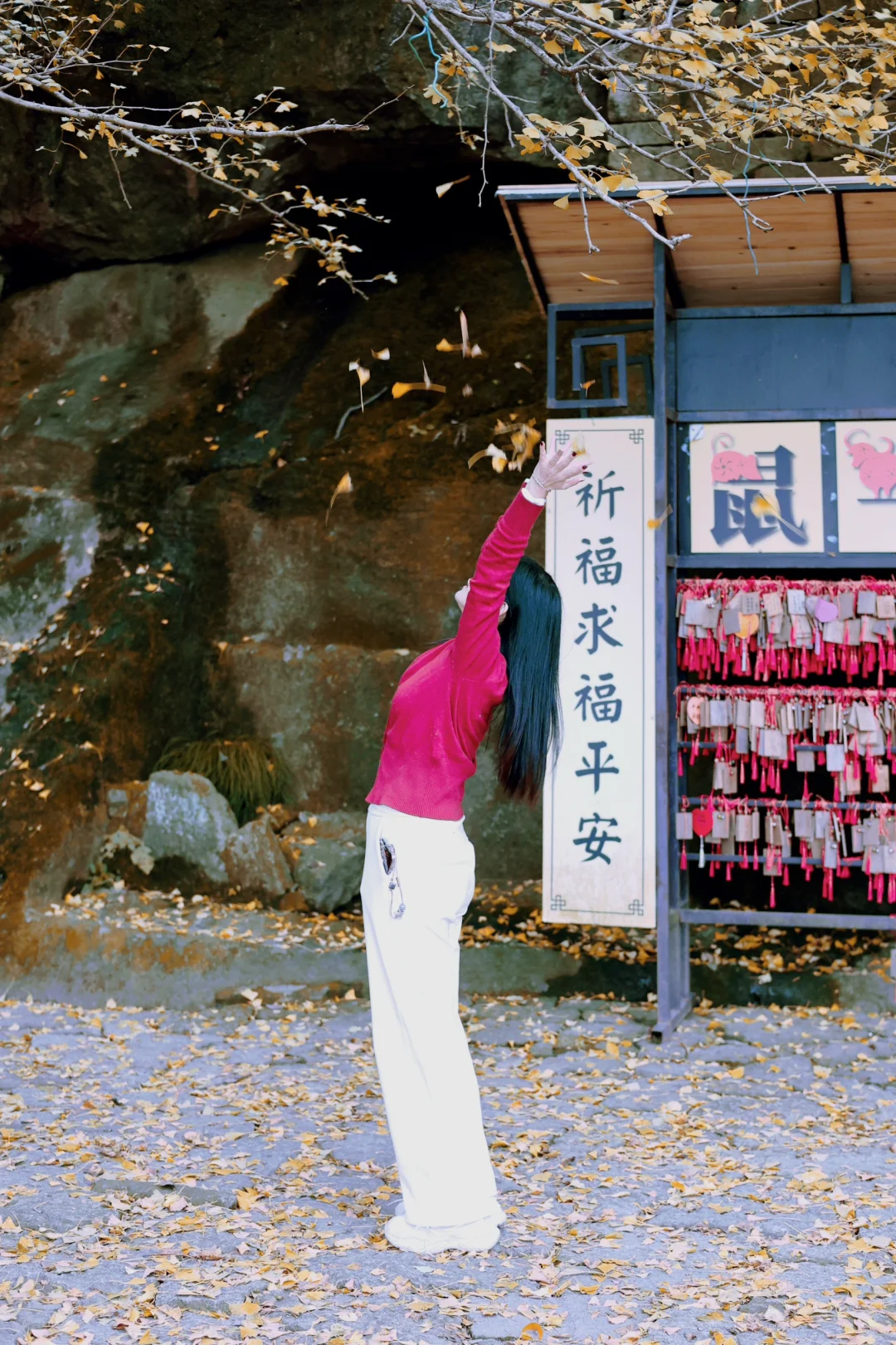 📖大慈岩秋日攻略 | 银杏与悬空寺的浪漫邂
