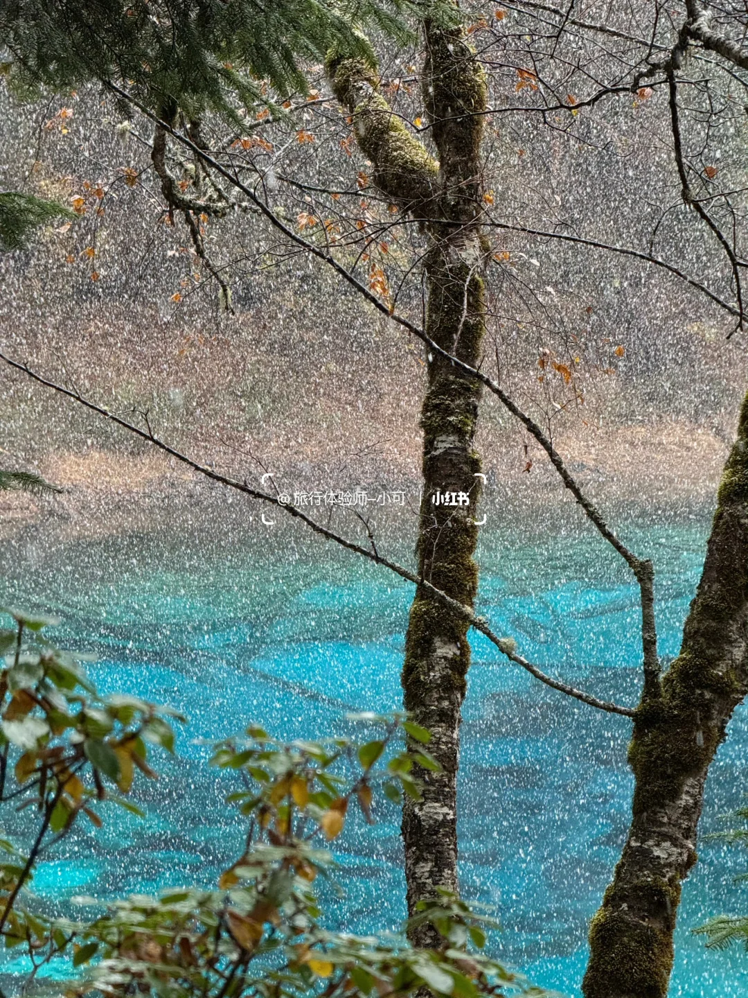 11.18九寨沟现状！！九寨沟的雪景太美了