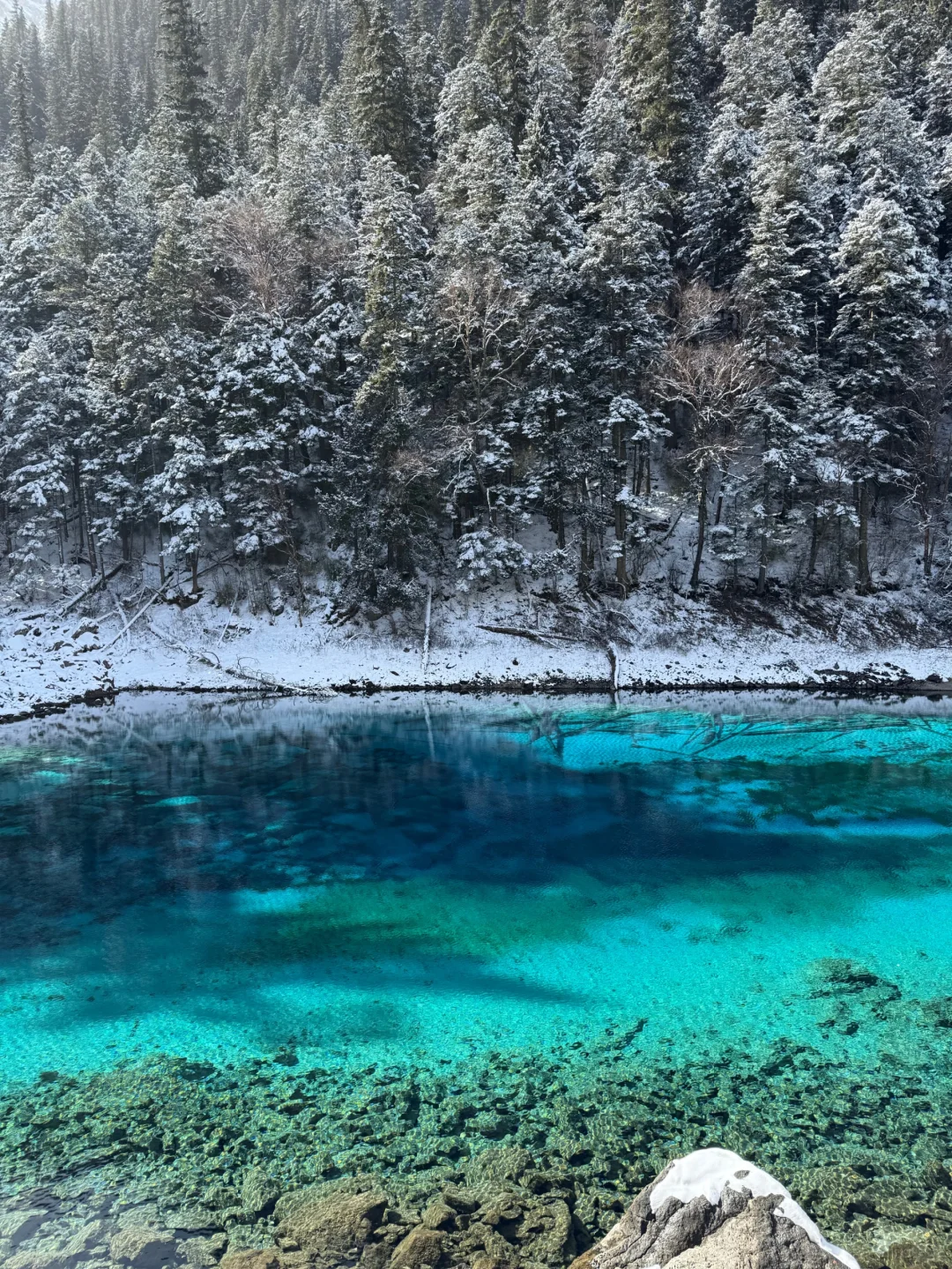 强烈推荐12月后的九寨沟，雪景+半价+人少