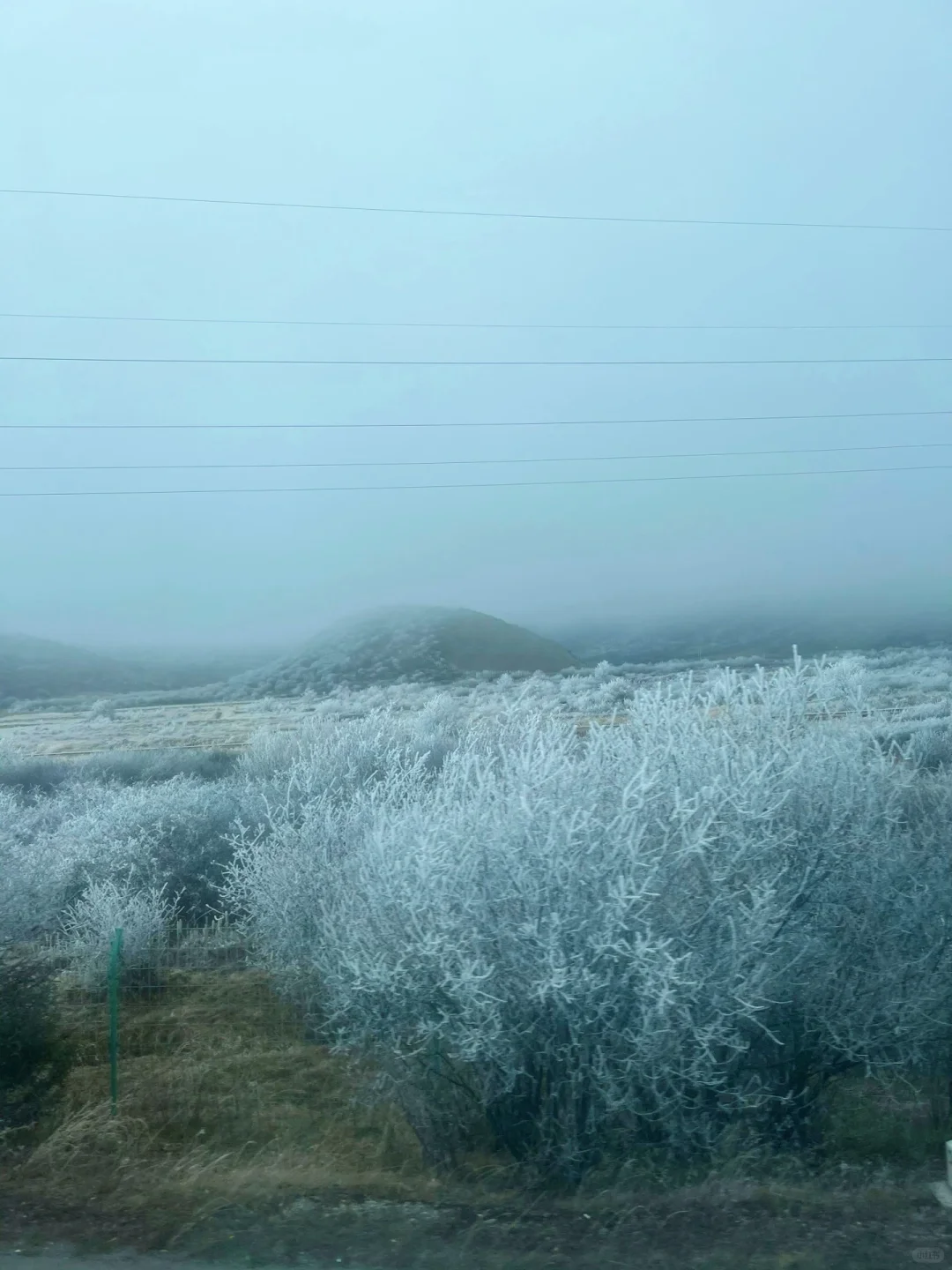 11.19九寨沟live图直出‼️邂逅了一场大雪❄️