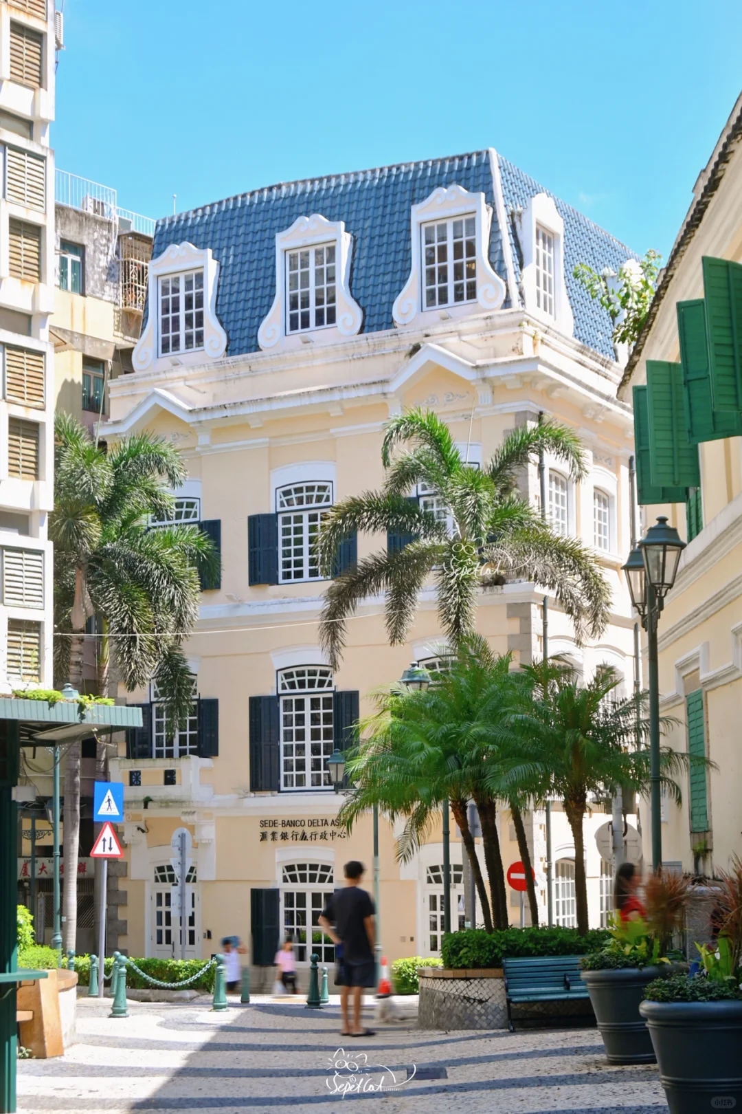 澳门citywalk🏡通往海边的童话小路（附机位
