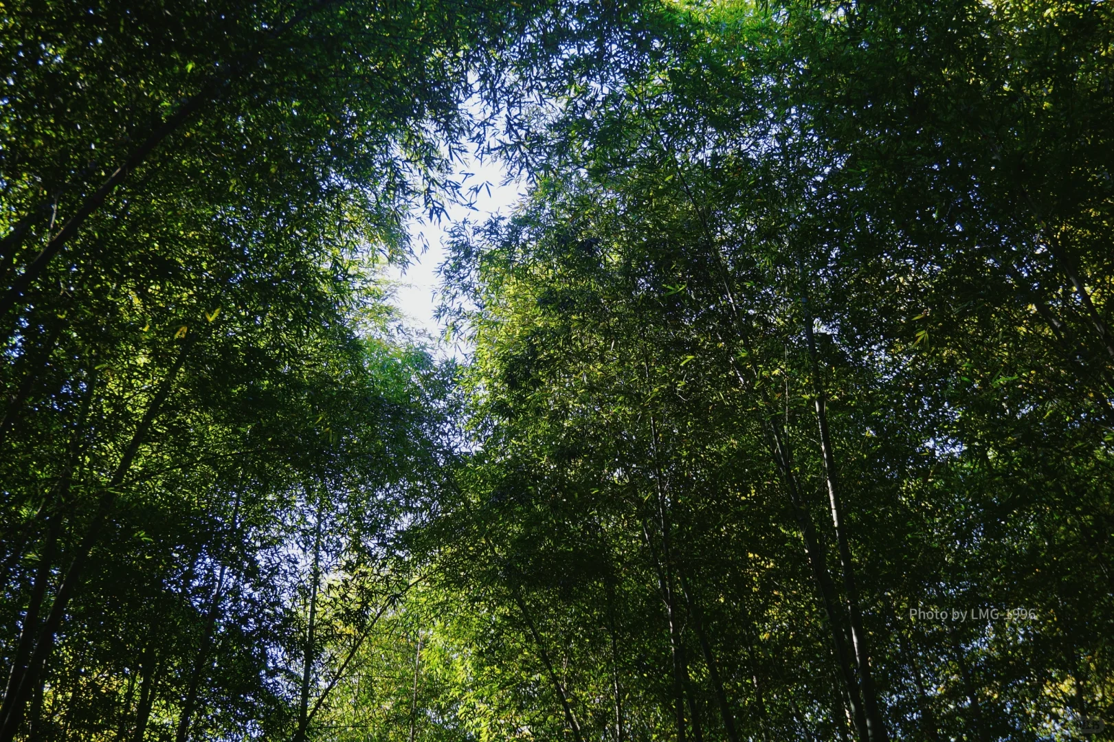 早起的人运气不会太差 看我在旺山拍到了啥