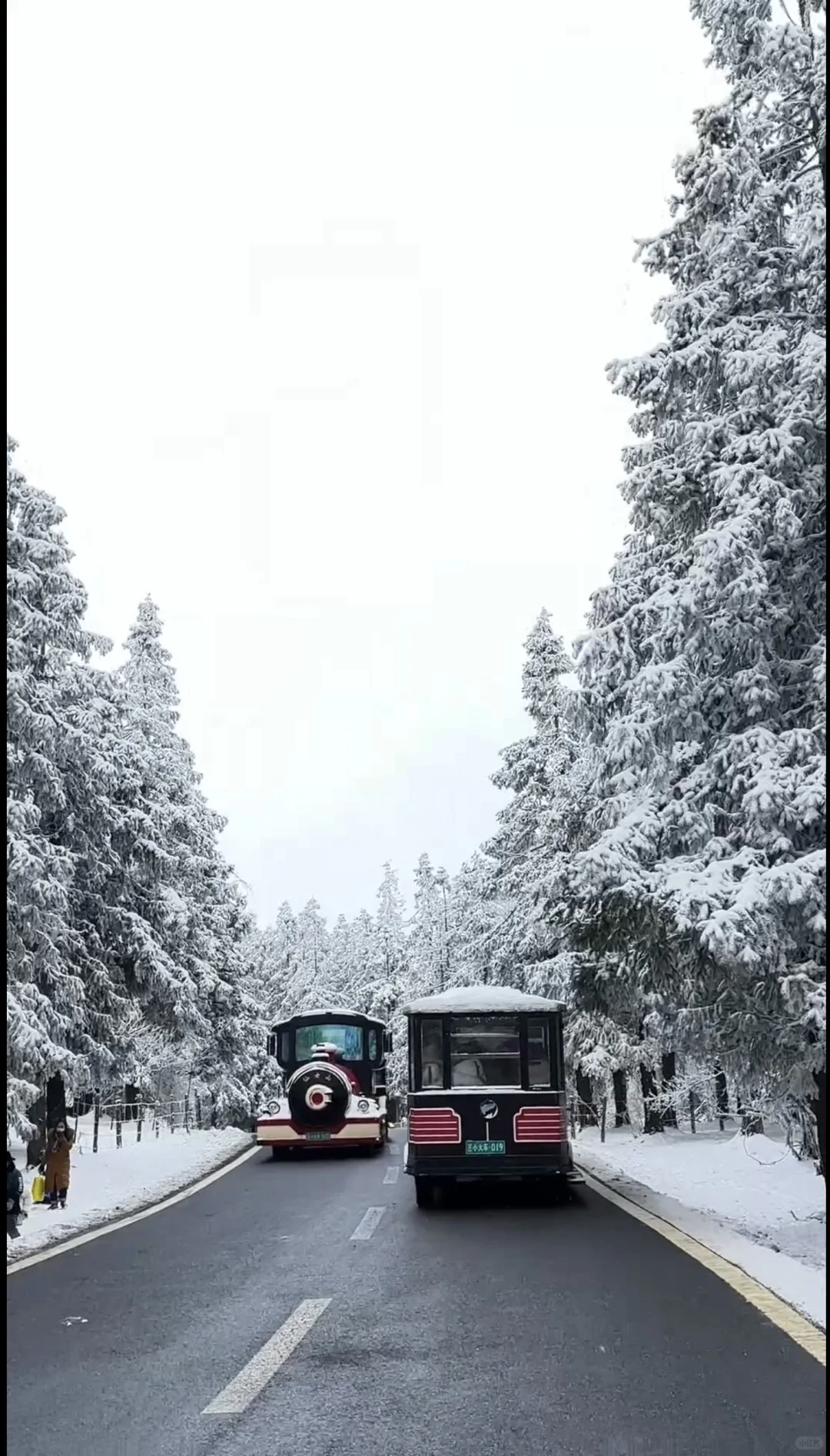 仙女山雪季正确✅游玩顺序