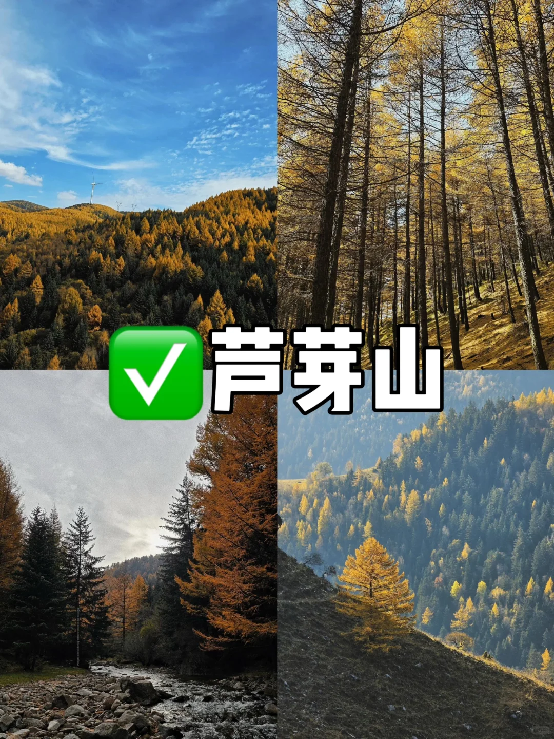 “晋北锁钥”-忻州