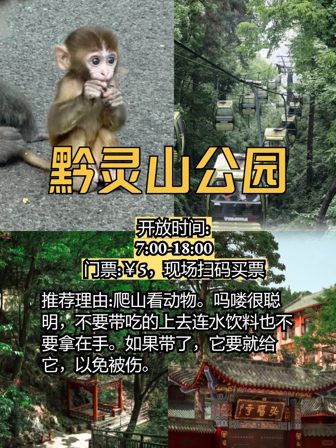 贵阳必去十大景点及旅游攻略✨