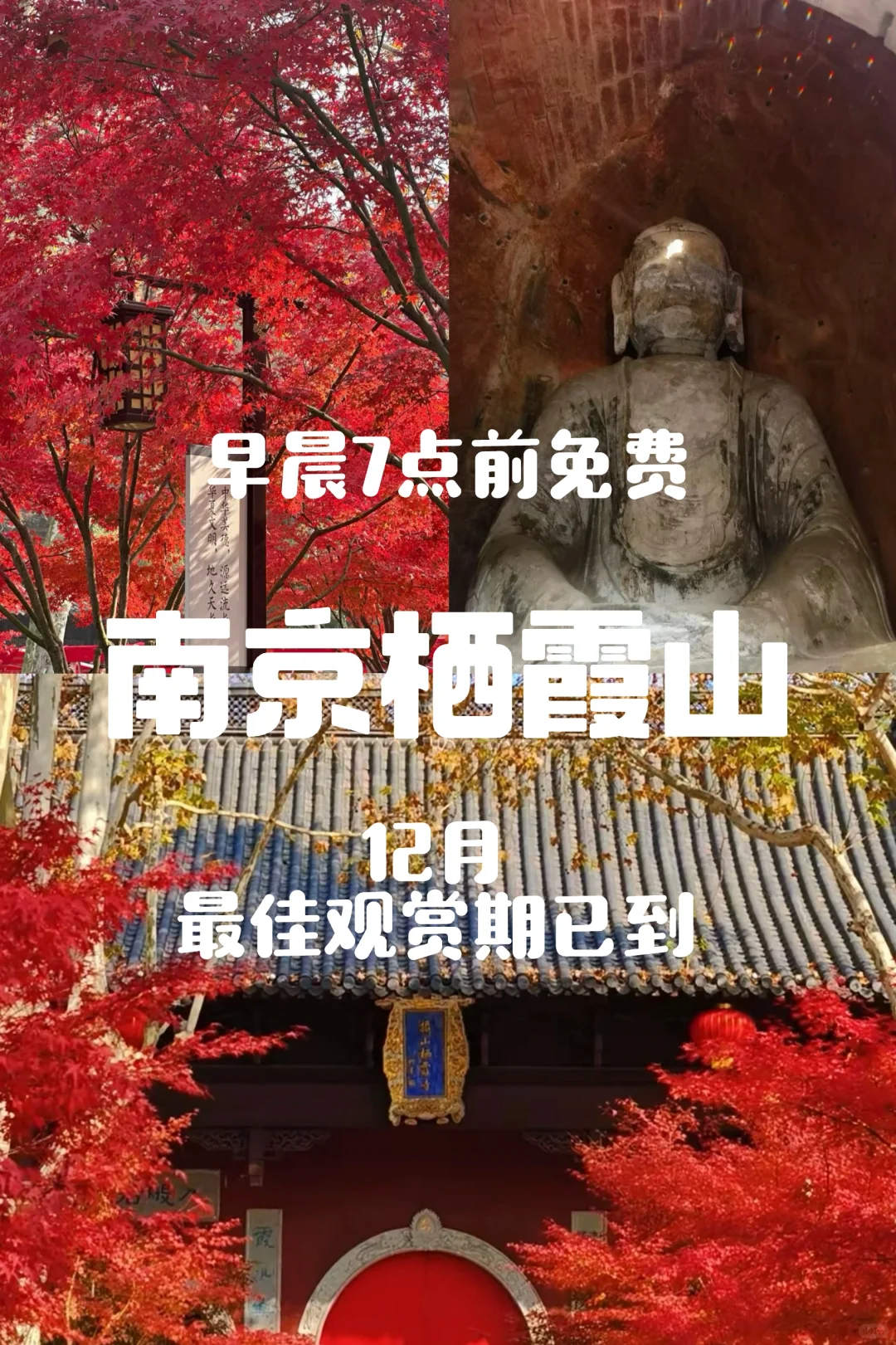 【南京栖霞山】赏枫🍁自驾游攻略