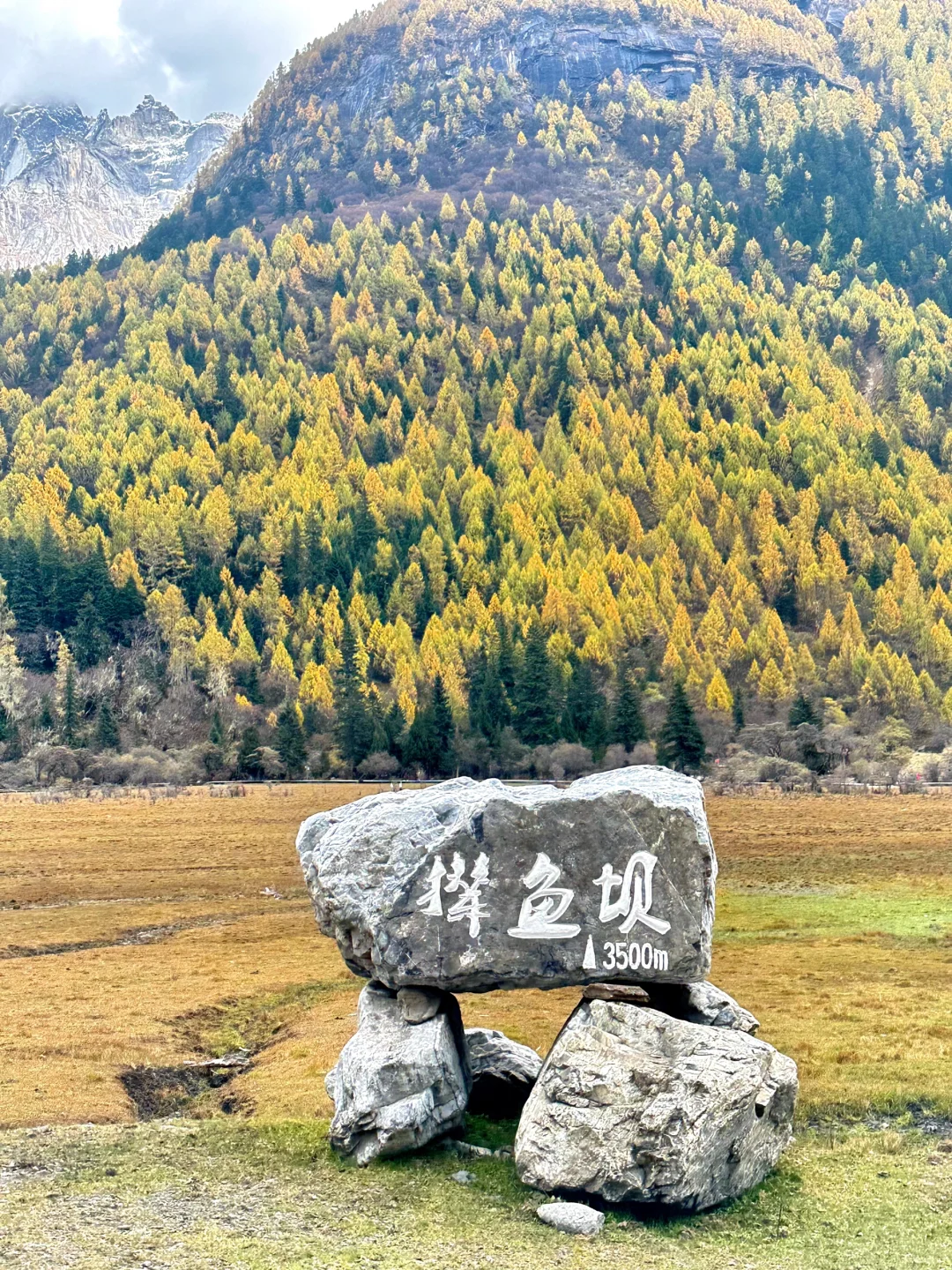 12.4四姑娘山现状😂真的不建议来，没下雪‼️