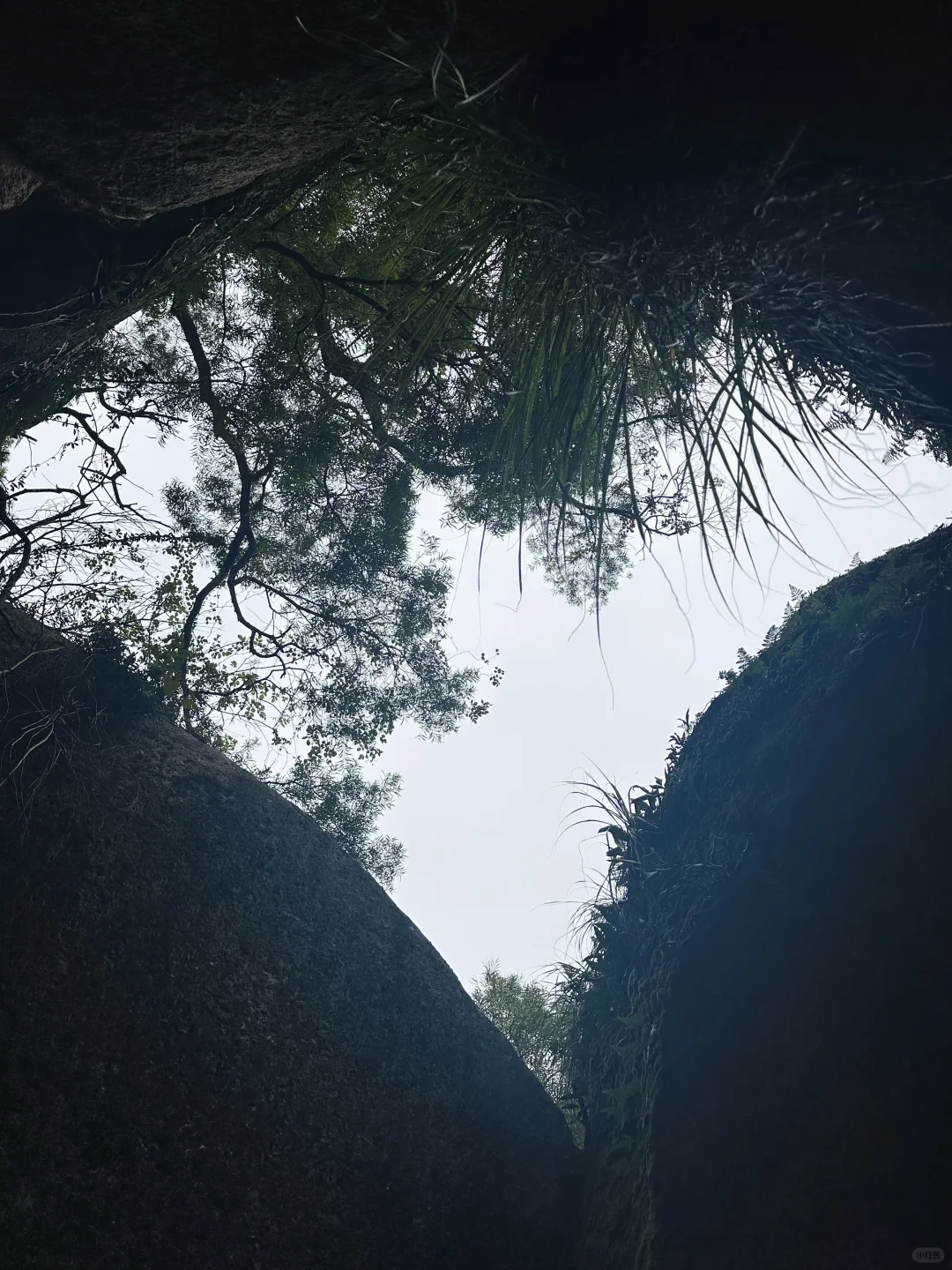 福州周边亲子趣味性最浓的一座山，冲！