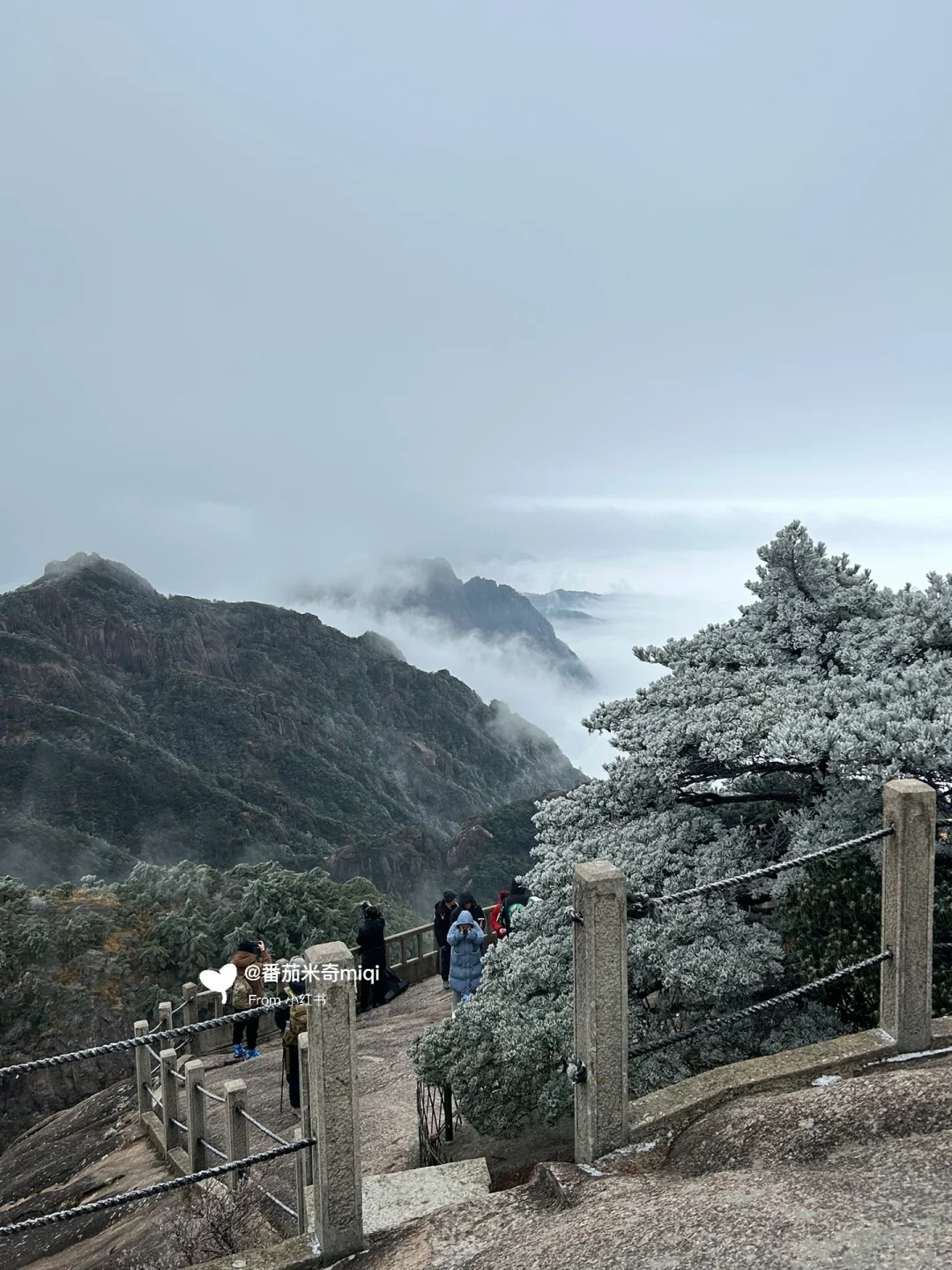 黄山雪季旅游通知！！！还好提前刷到了！！