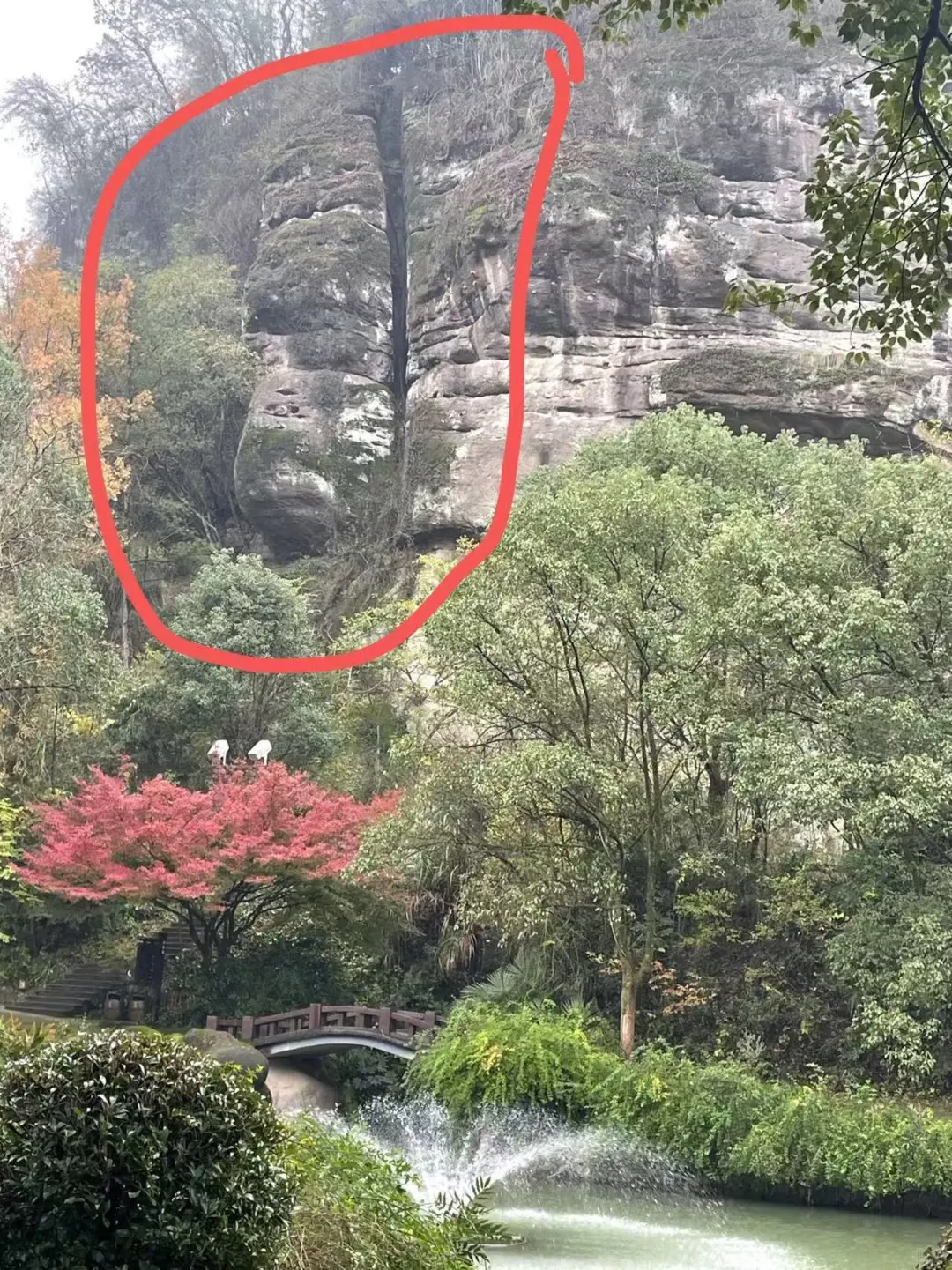 新昌大佛寺景区内容易忽略的景点：锯解岩
