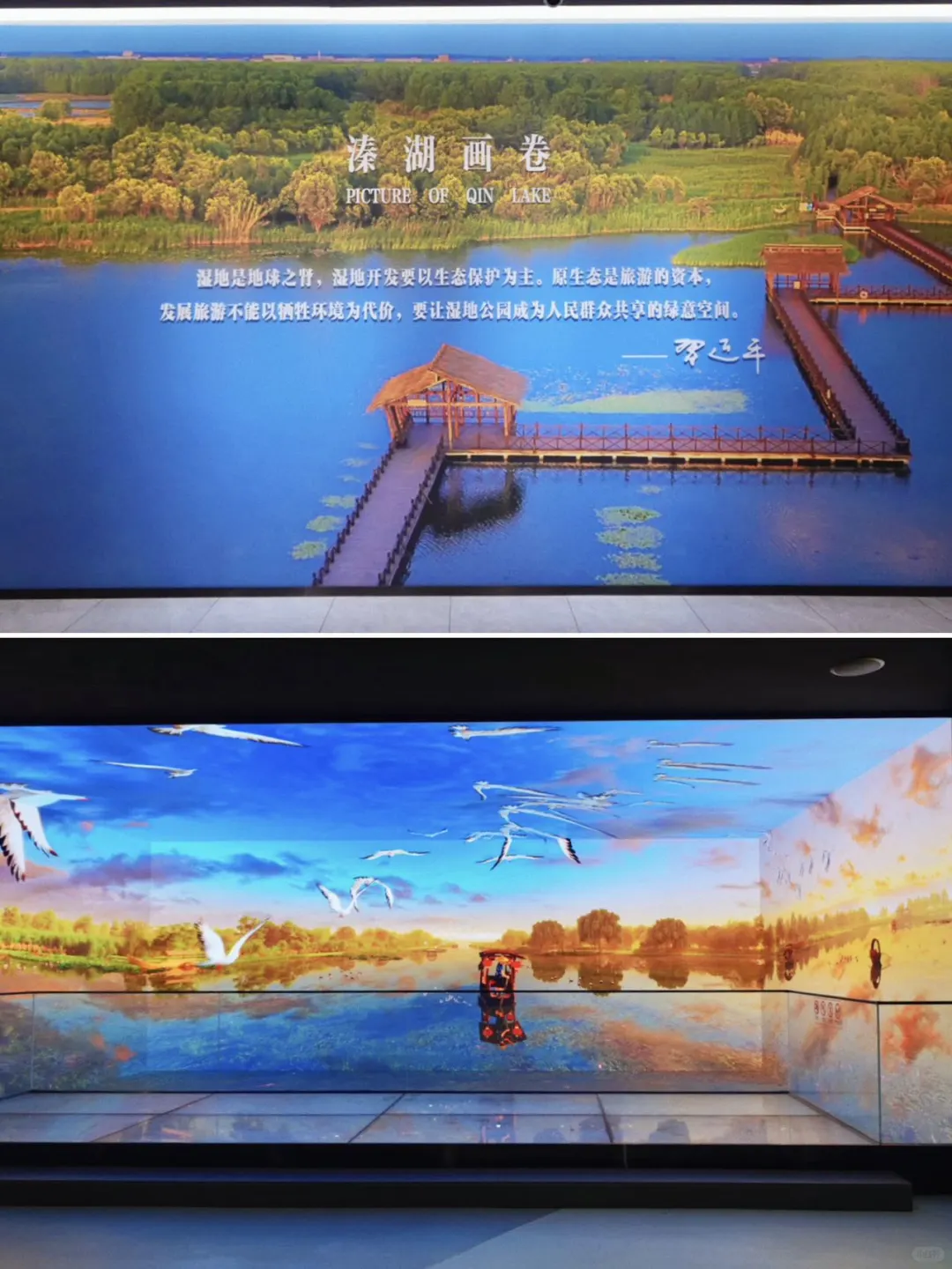 高铁直达,江浙沪被严重低估的湿地公园‼